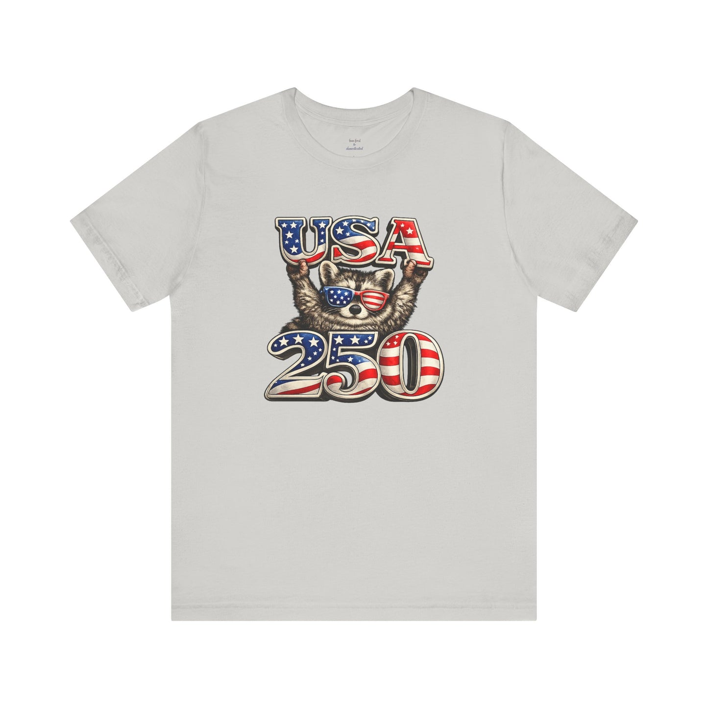 Patriot Raccoon 250th Anniversary T-Shirt — 4th of July Fireworks Flag Tee