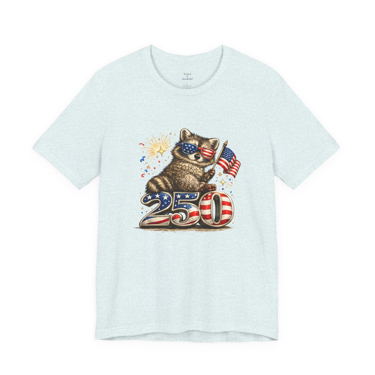 Patriot Raccoon 250th Anniversary T-Shirt — 4th of July Fireworks Flag Tee