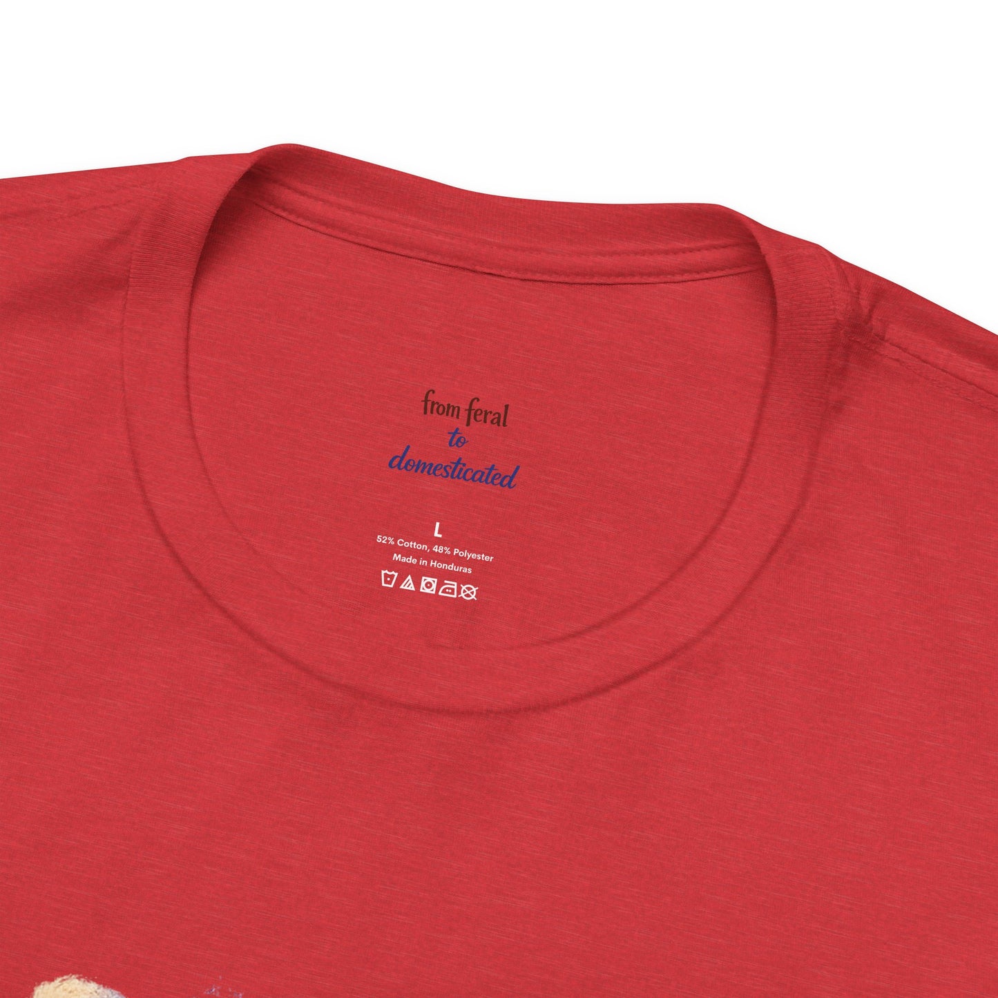 Patriot Raccoon 250th Anniversary T-Shirt — 4th of July Fireworks Flag Tee
