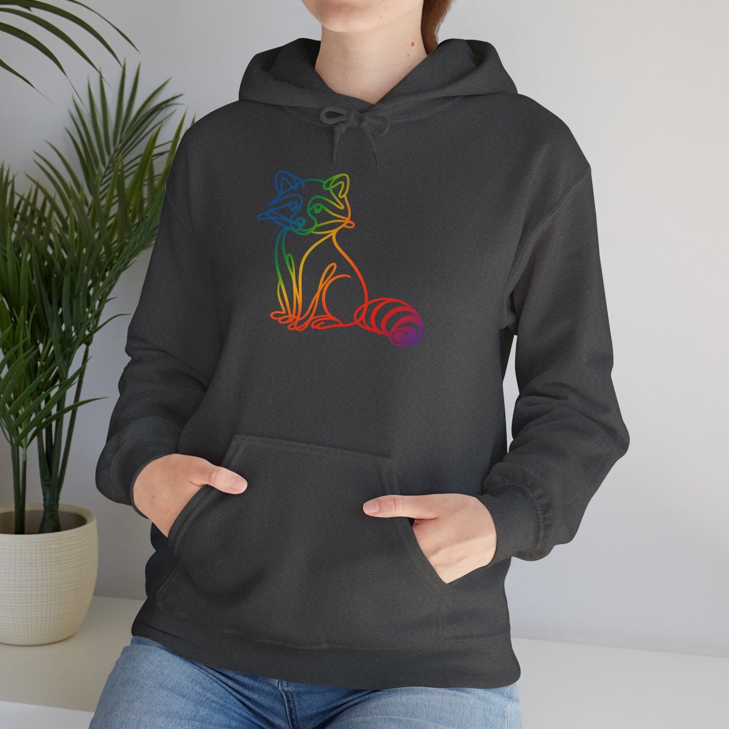 Rainbow Line Art Raccoon Hoodie