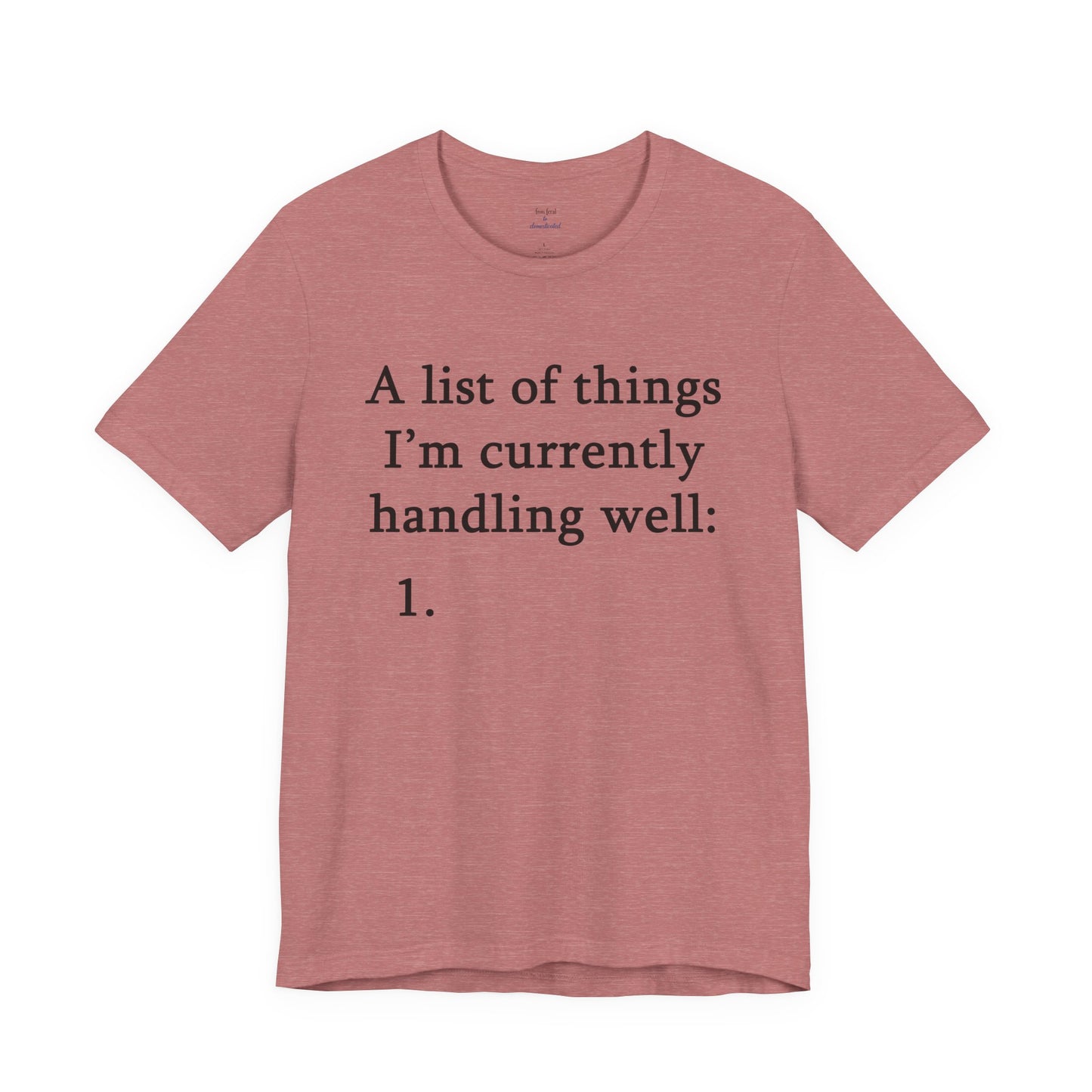 Funny 'A List of Things I'm Currently Handling Well' T-Shirt