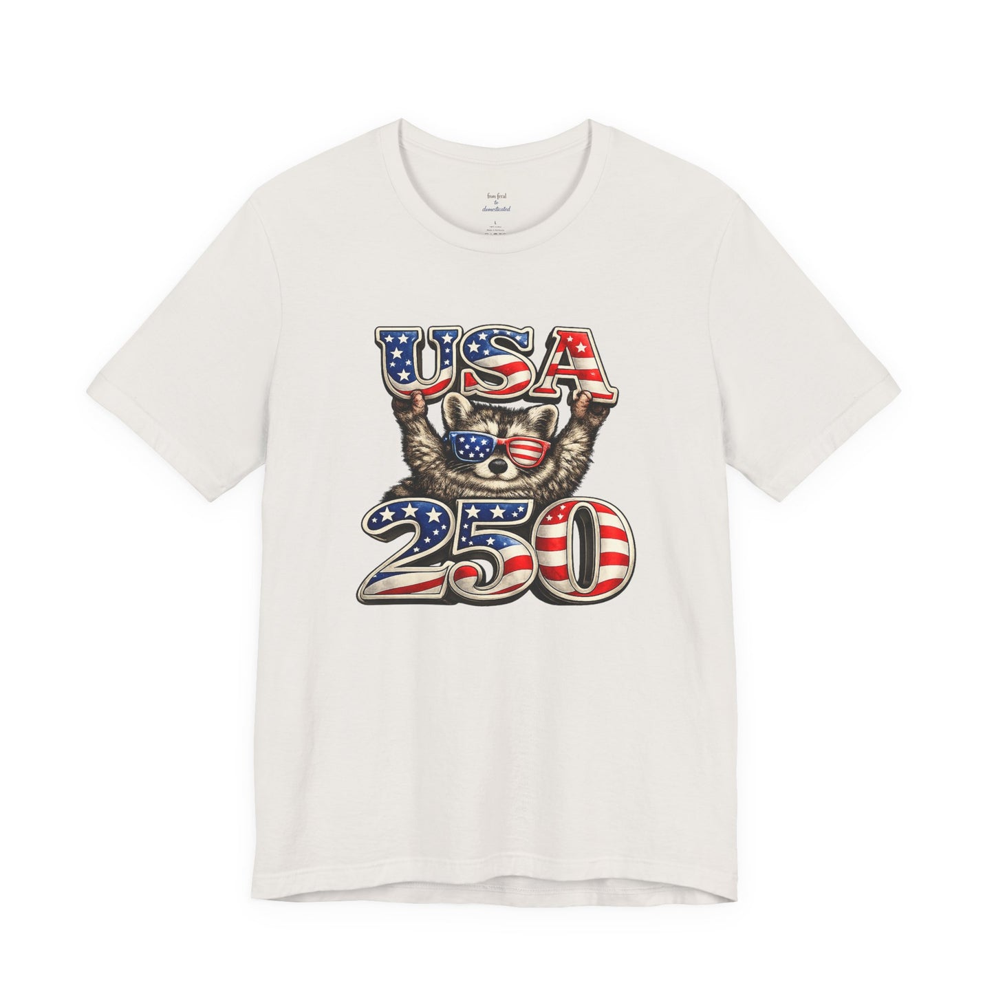 Patriot Raccoon 250th Anniversary T-Shirt — 4th of July Fireworks Flag Tee
