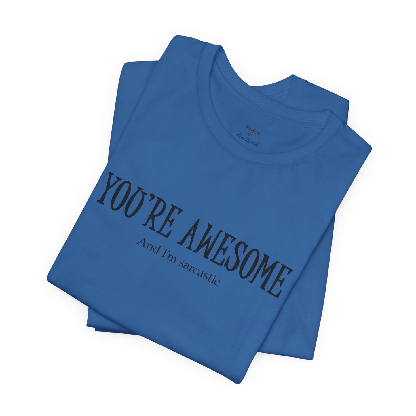 You're Awesome (And I'm Sarcastic) T-Shirt