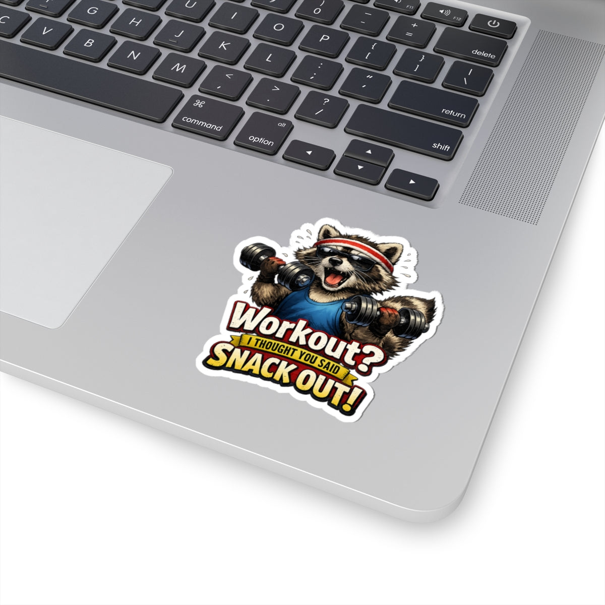 Snack Out Raccoon Stickers