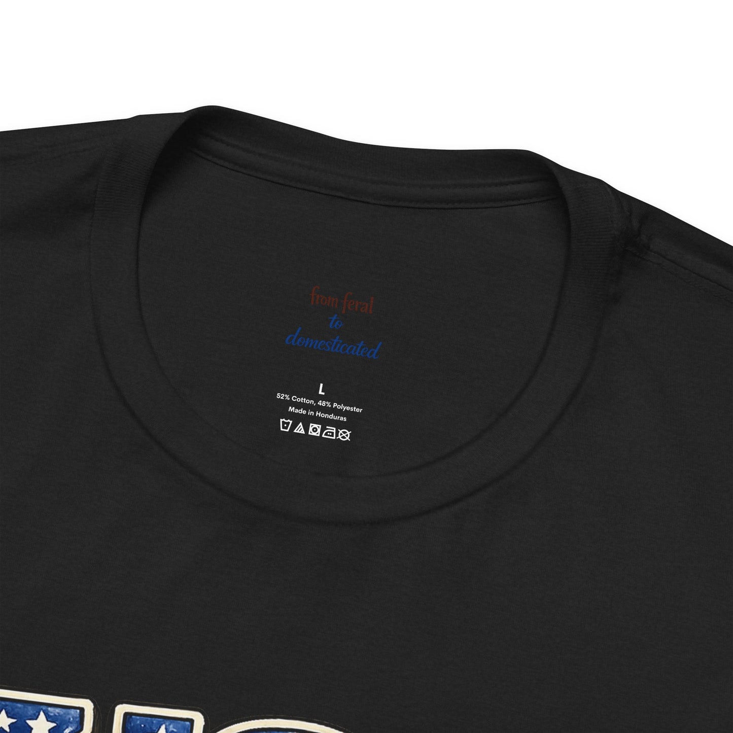 Patriot Raccoon 250th Anniversary T-Shirt — 4th of July Fireworks Flag Tee
