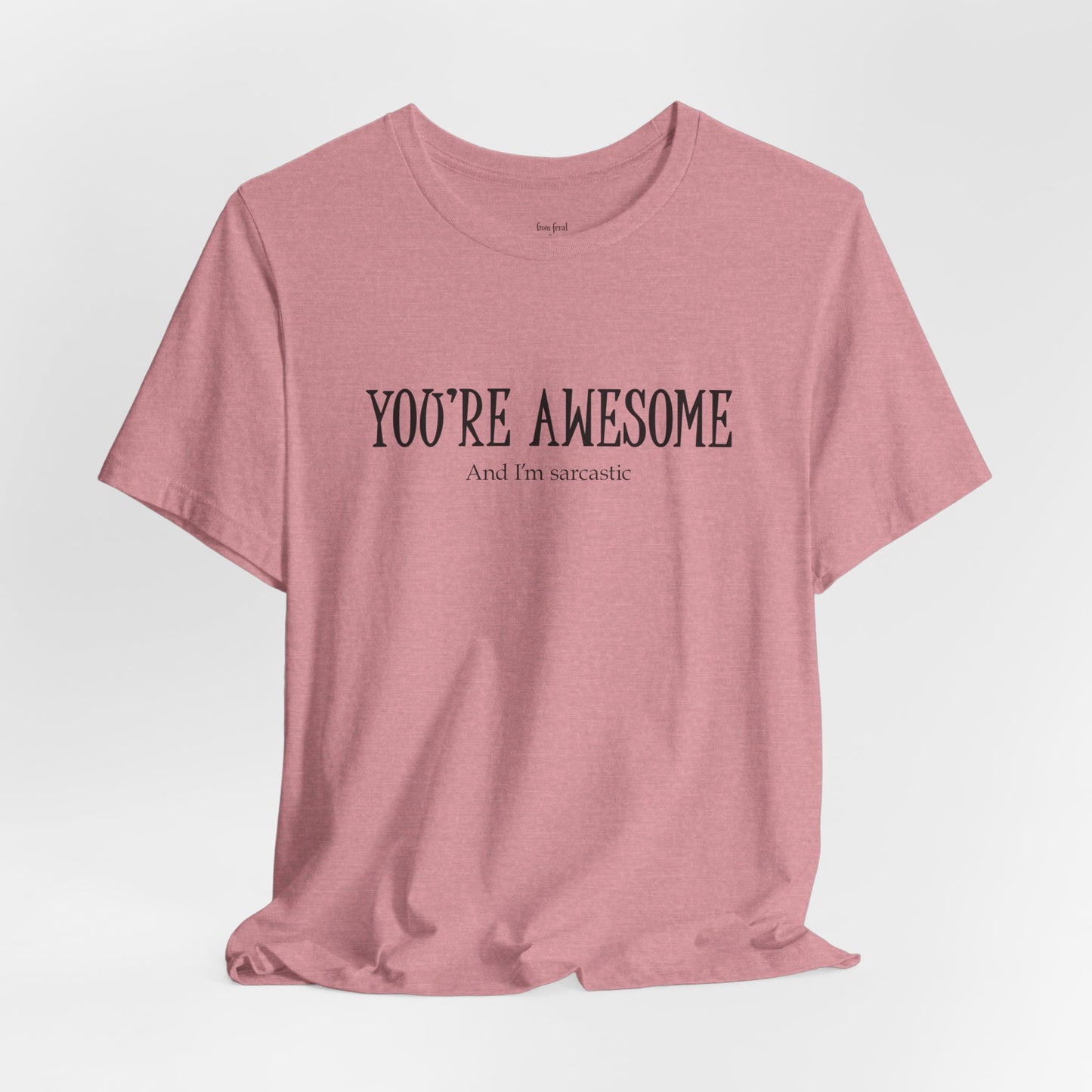 You're Awesome (And I'm Sarcastic) T-Shirt