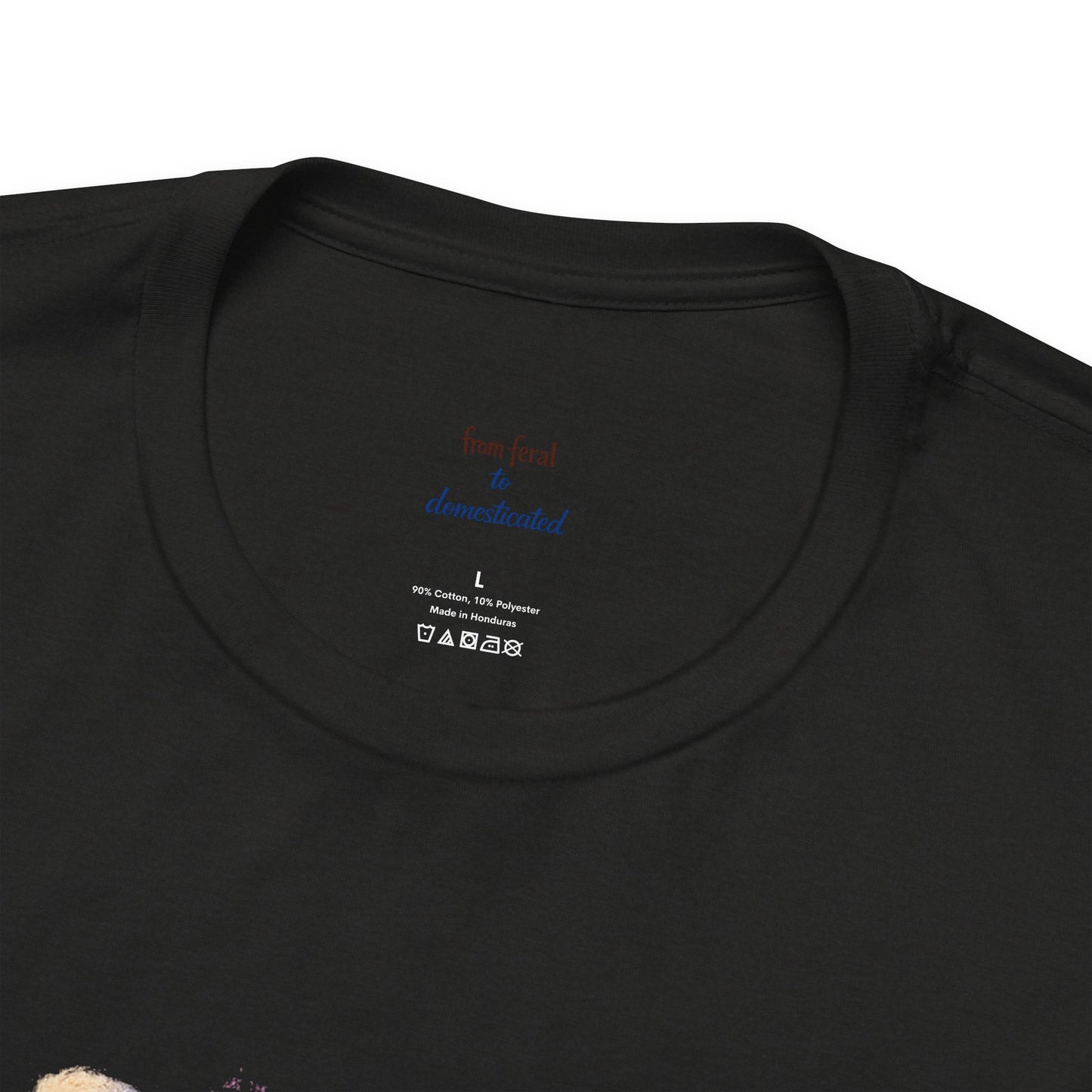 Patriot Raccoon 250th Anniversary T-Shirt — 4th of July Fireworks Flag Tee