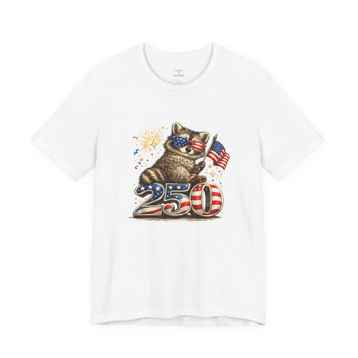 Patriot Raccoon 250th Anniversary T-Shirt — 4th of July Fireworks Flag Tee