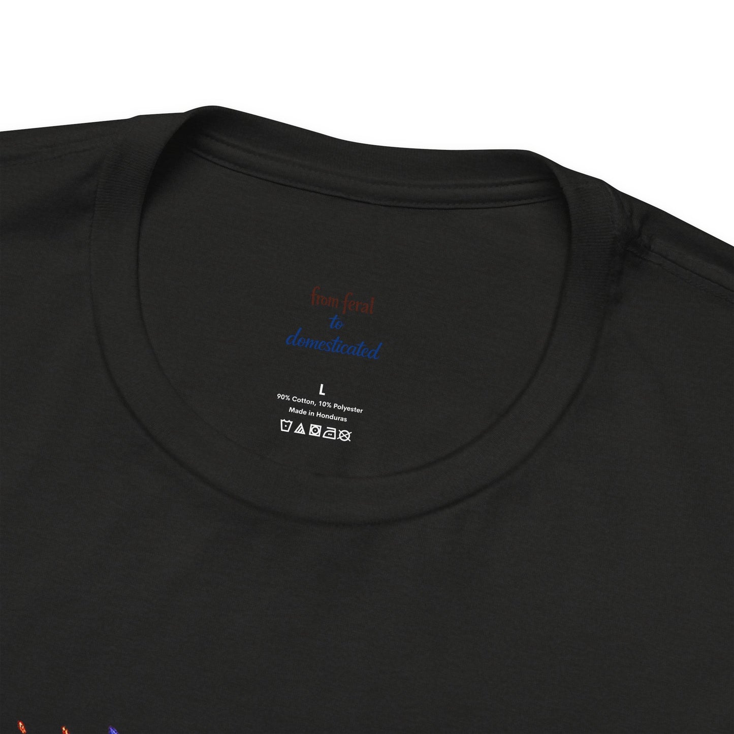 Patriot Raccoon 250th Anniversary T-Shirt — 4th of July Fireworks Flag Tee