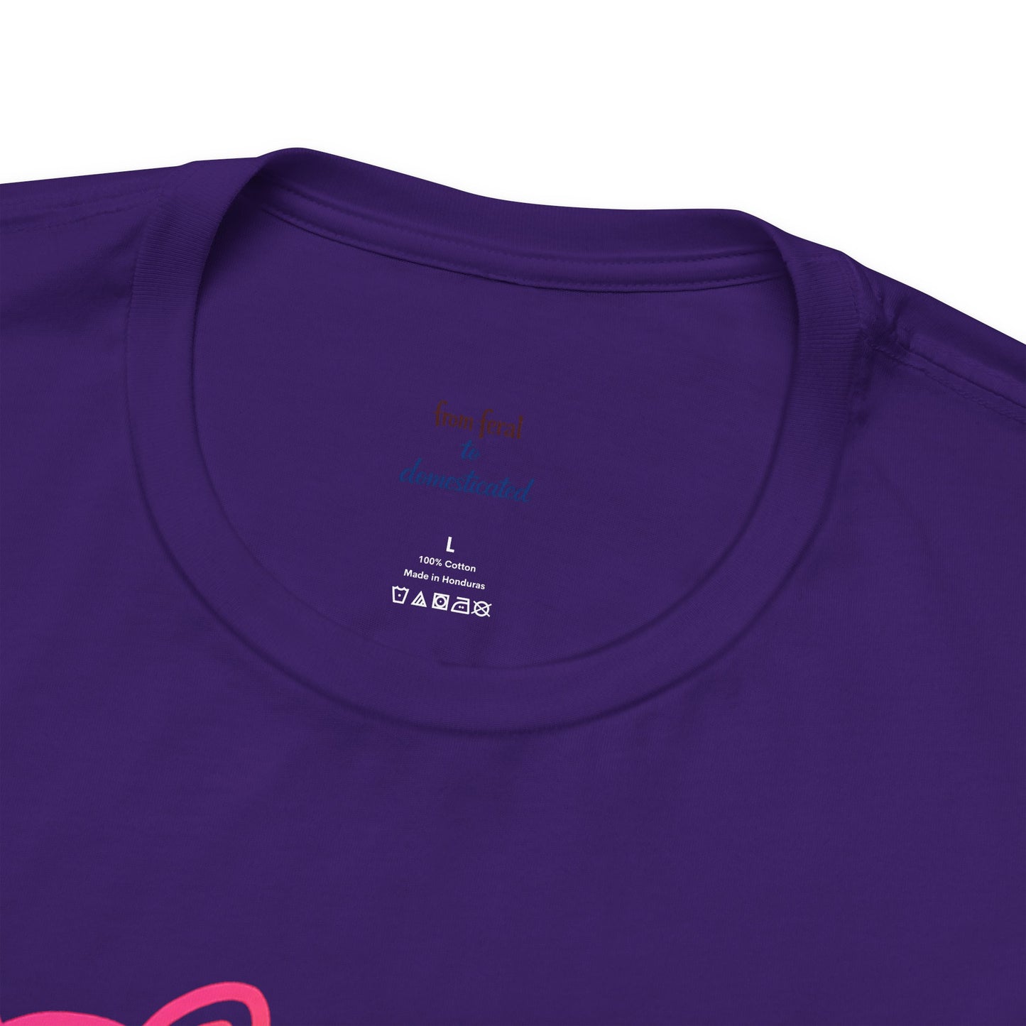 Rascal Raccoon Tee — Minimal Line Raccoon Scenic Graphic T-Shirt