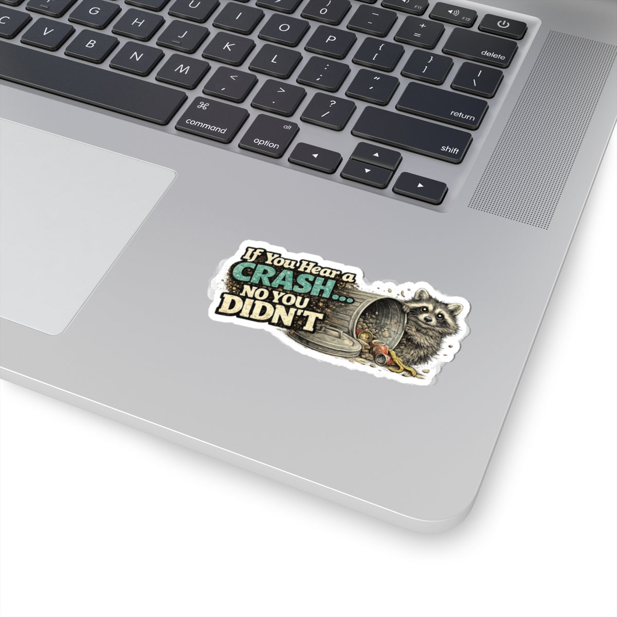 Crash Raccoon Stickers