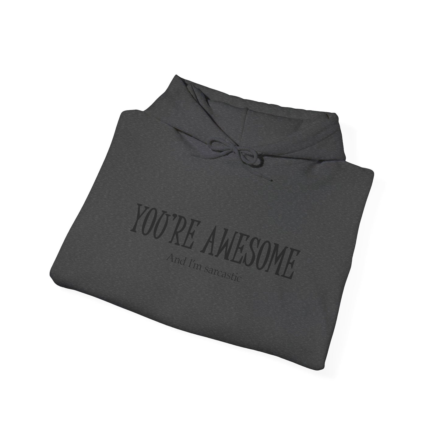 You're Awesome | I'm sarcastic Hoodie