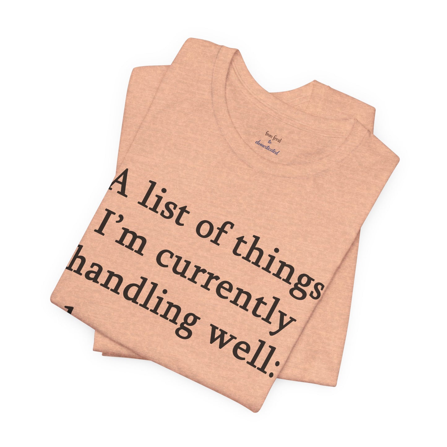Funny 'A List of Things I'm Currently Handling Well' T-Shirt