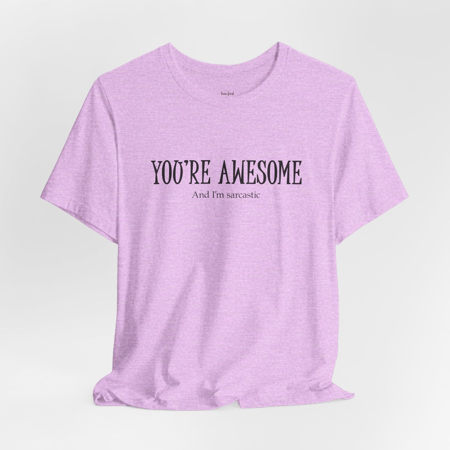 You're Awesome (And I'm Sarcastic) T-Shirt