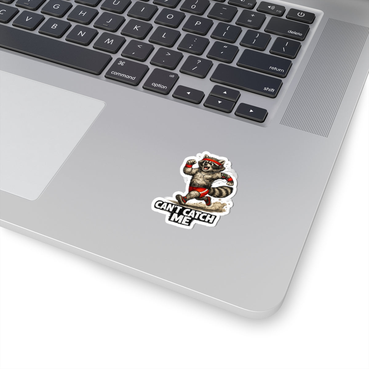 Can't Catch Me Raccoon Stickers