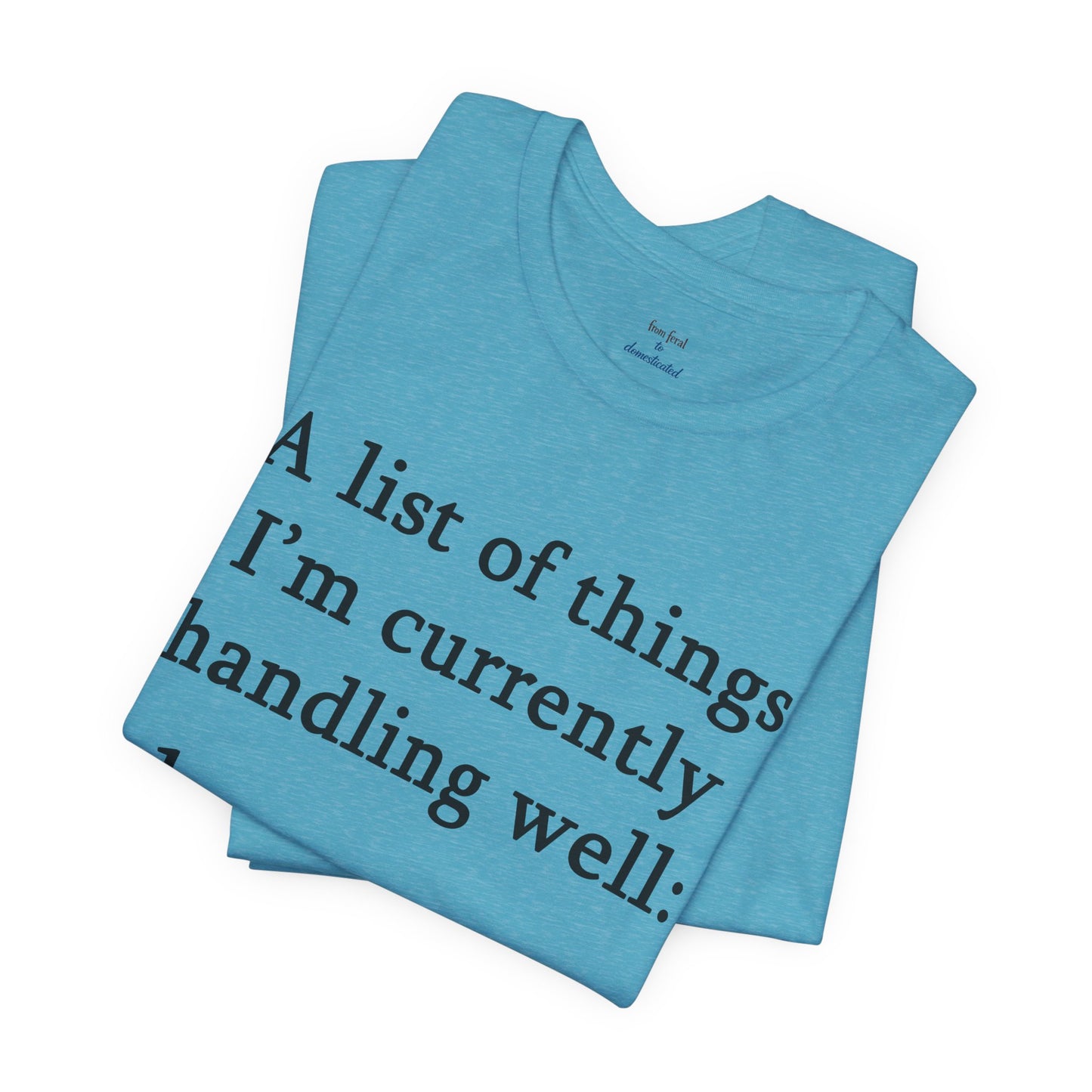 Funny 'A List of Things I'm Currently Handling Well' T-Shirt
