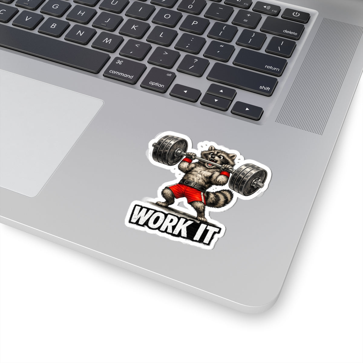 Work It Raccoon Stickers