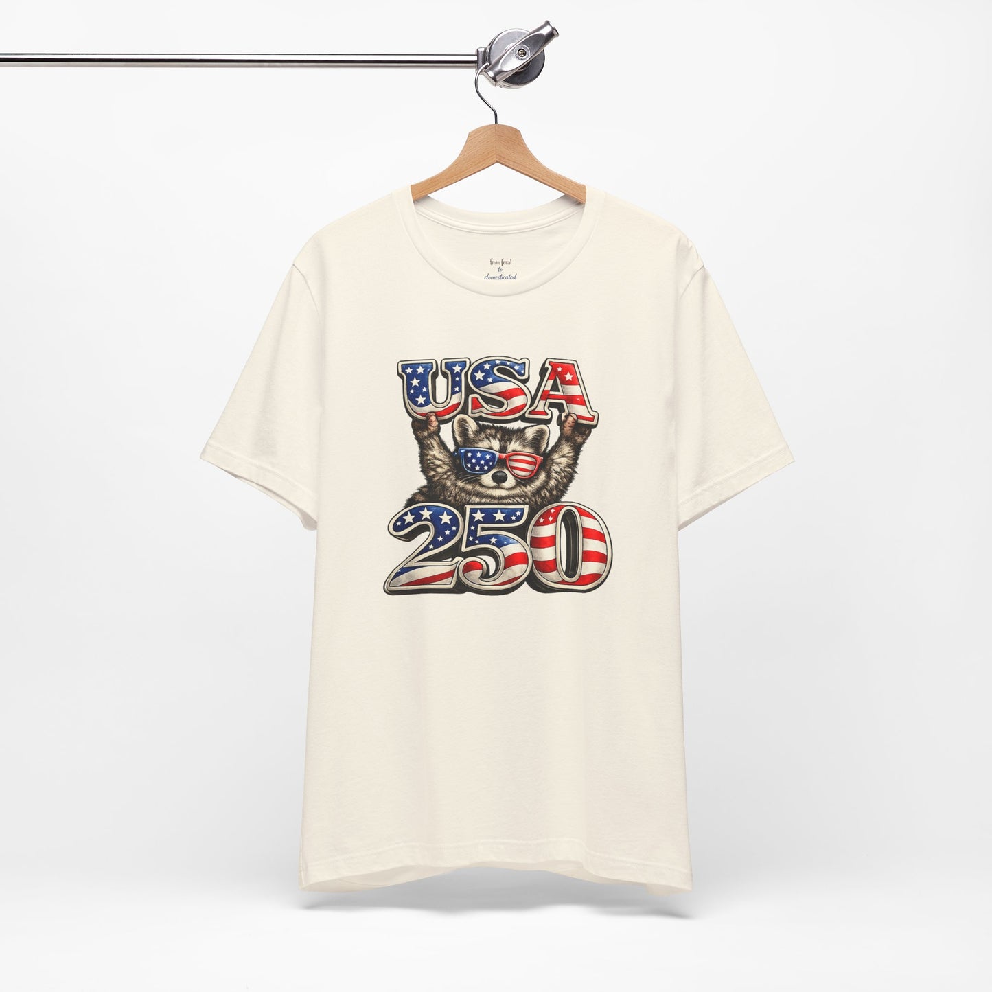 Patriot Raccoon 250th Anniversary T-Shirt — 4th of July Fireworks Flag Tee