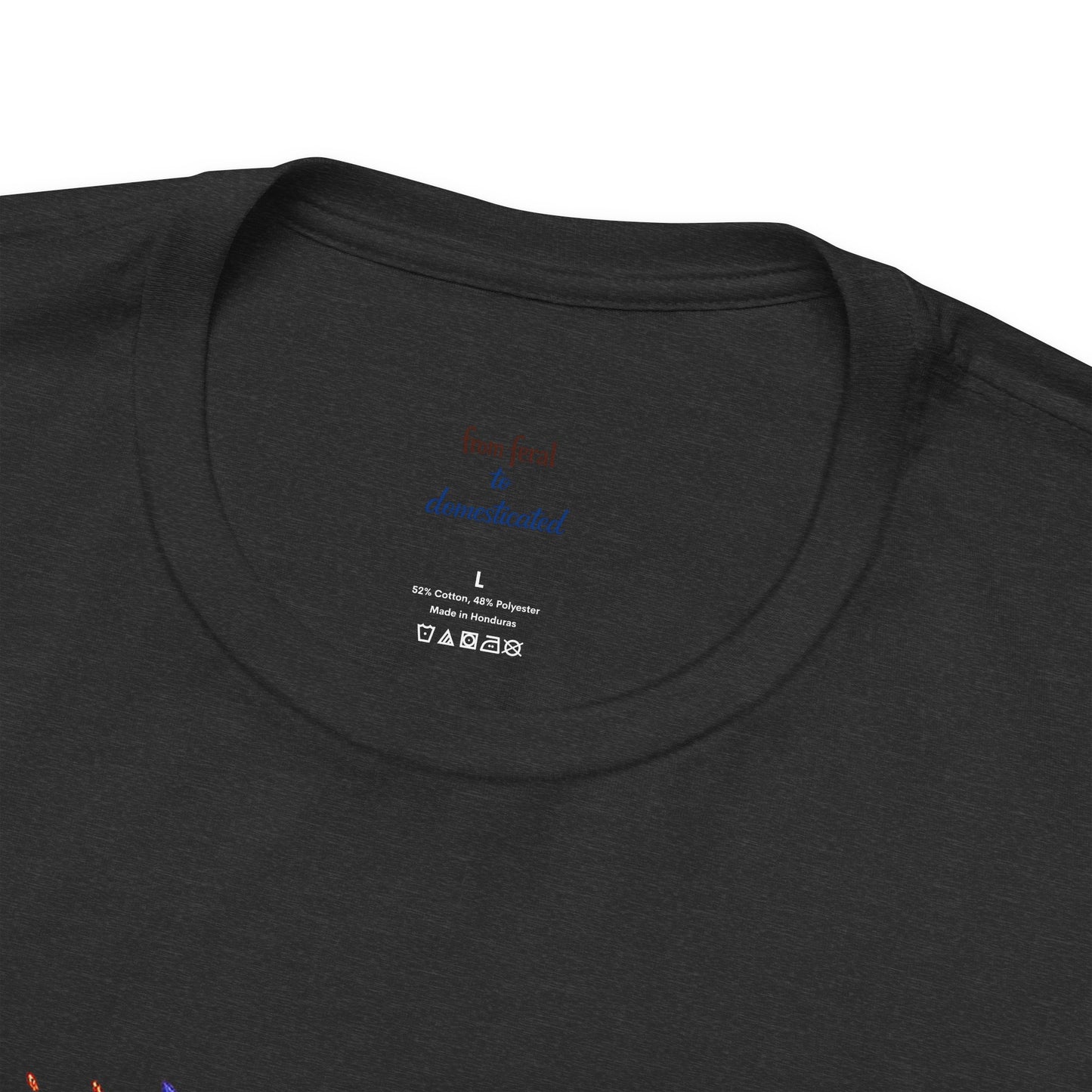 Patriot Raccoon 250th Anniversary T-Shirt — 4th of July Fireworks Flag Tee
