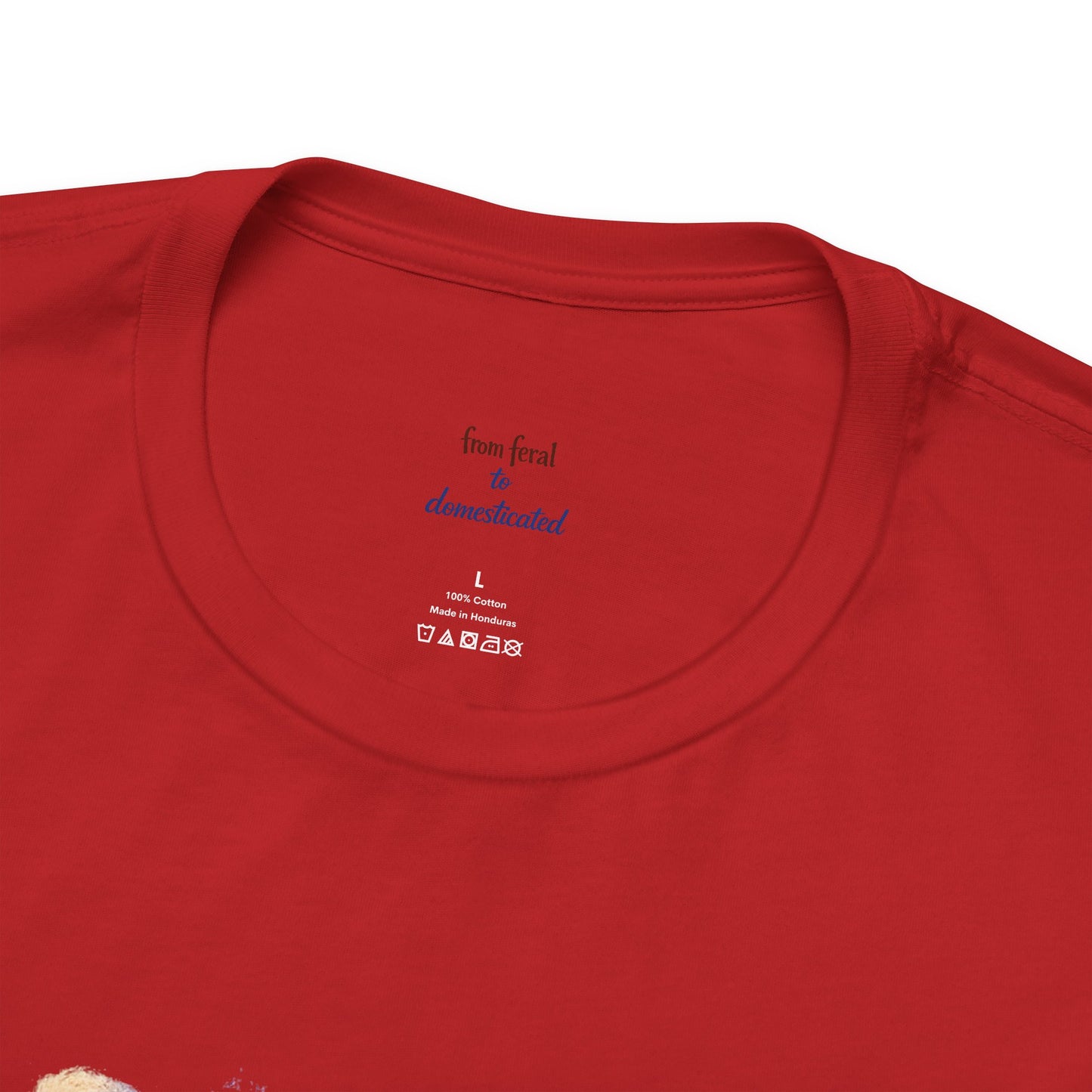 Patriot Raccoon 250th Anniversary T-Shirt — 4th of July Fireworks Flag Tee