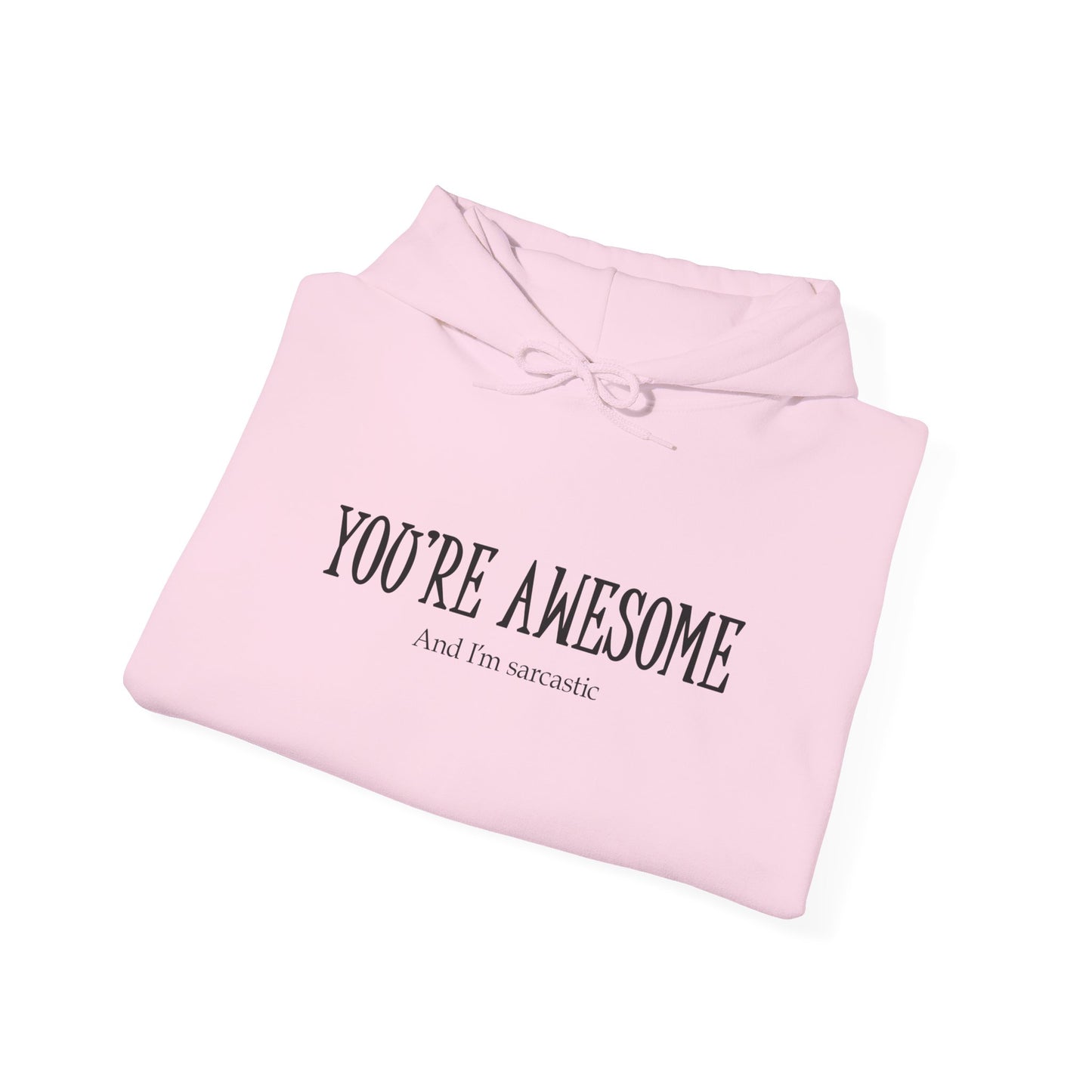 You're Awesome | I'm sarcastic Hoodie