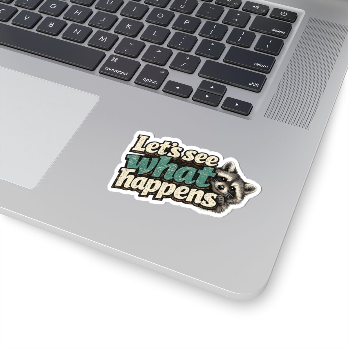 Peek & See Raccoon Stickers