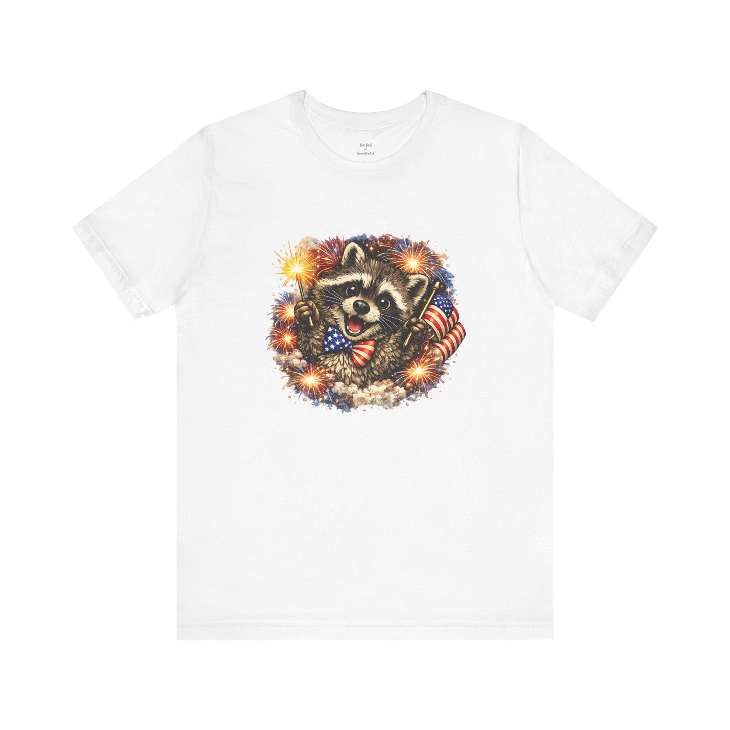 Patriot Raccoon 250th Anniversary T-Shirt — 4th of July Fireworks Flag Tee