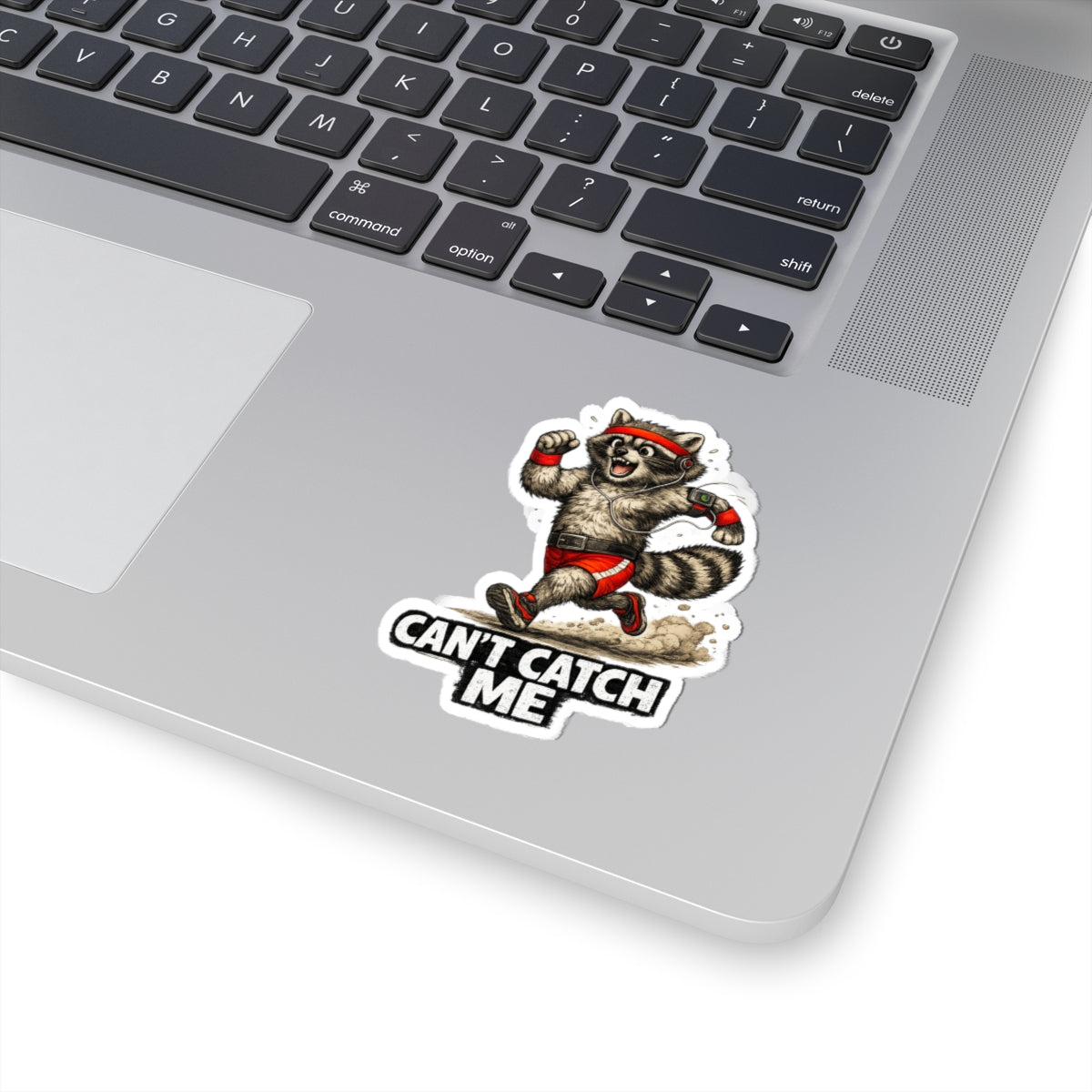 Can't Catch Me Raccoon Stickers