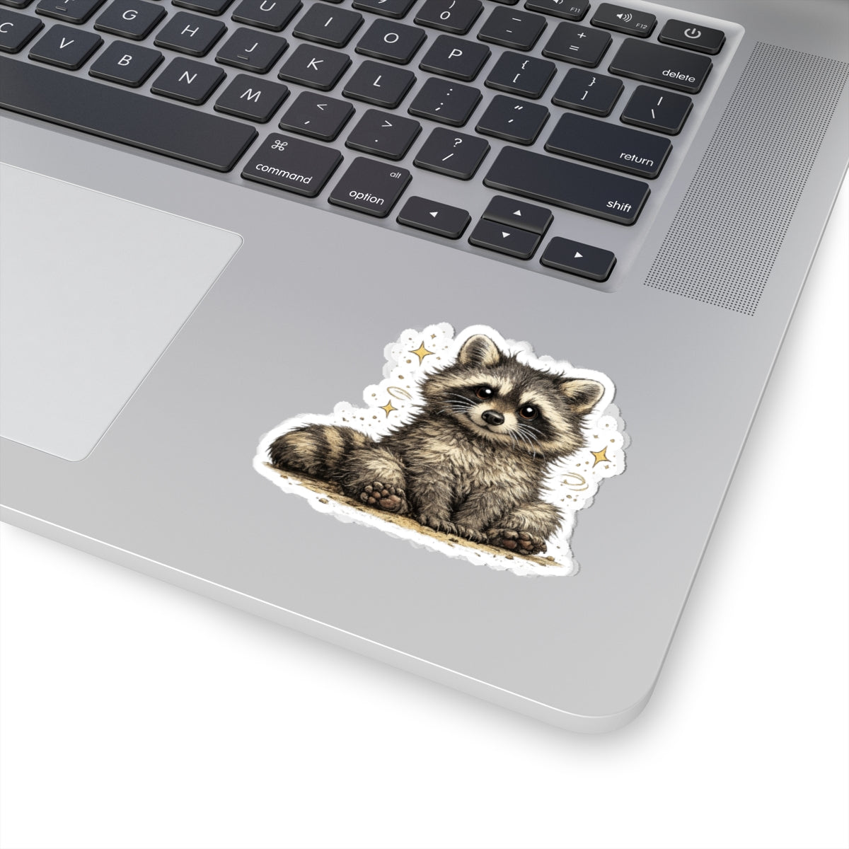 Sweet & Savage Raccoon Stickers