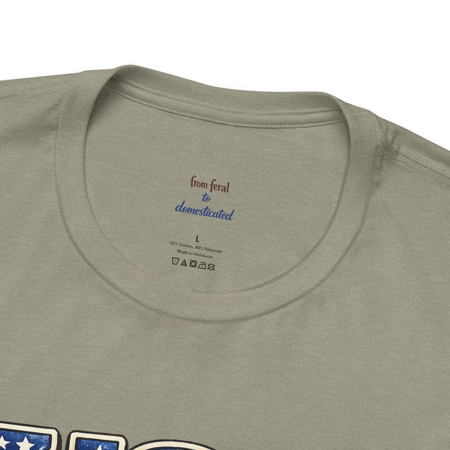 Patriot Raccoon 250th Anniversary T-Shirt — 4th of July Fireworks Flag Tee
