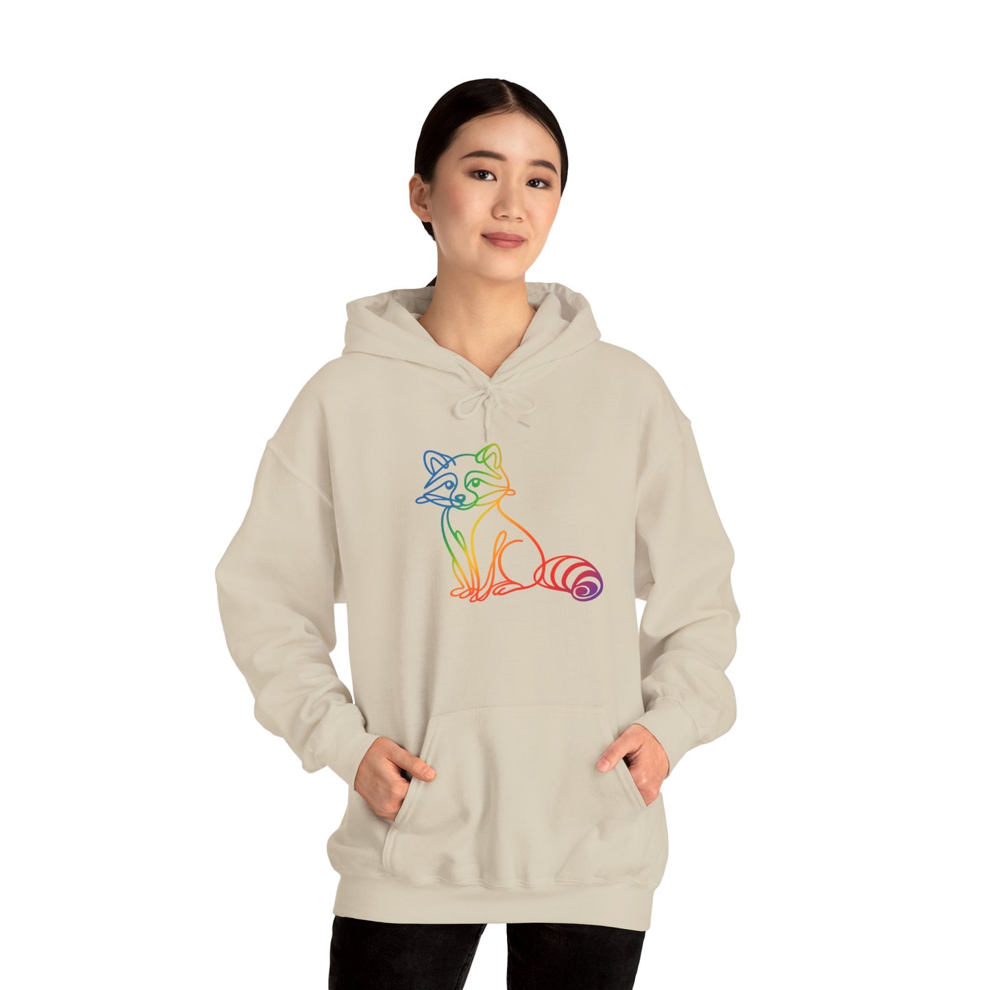 Rainbow Line Art Raccoon Hoodie