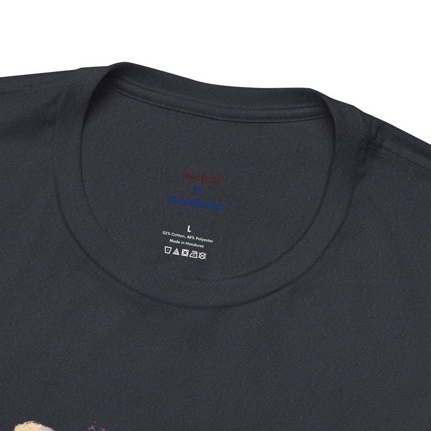 Patriot Raccoon 250th Anniversary T-Shirt — 4th of July Fireworks Flag Tee