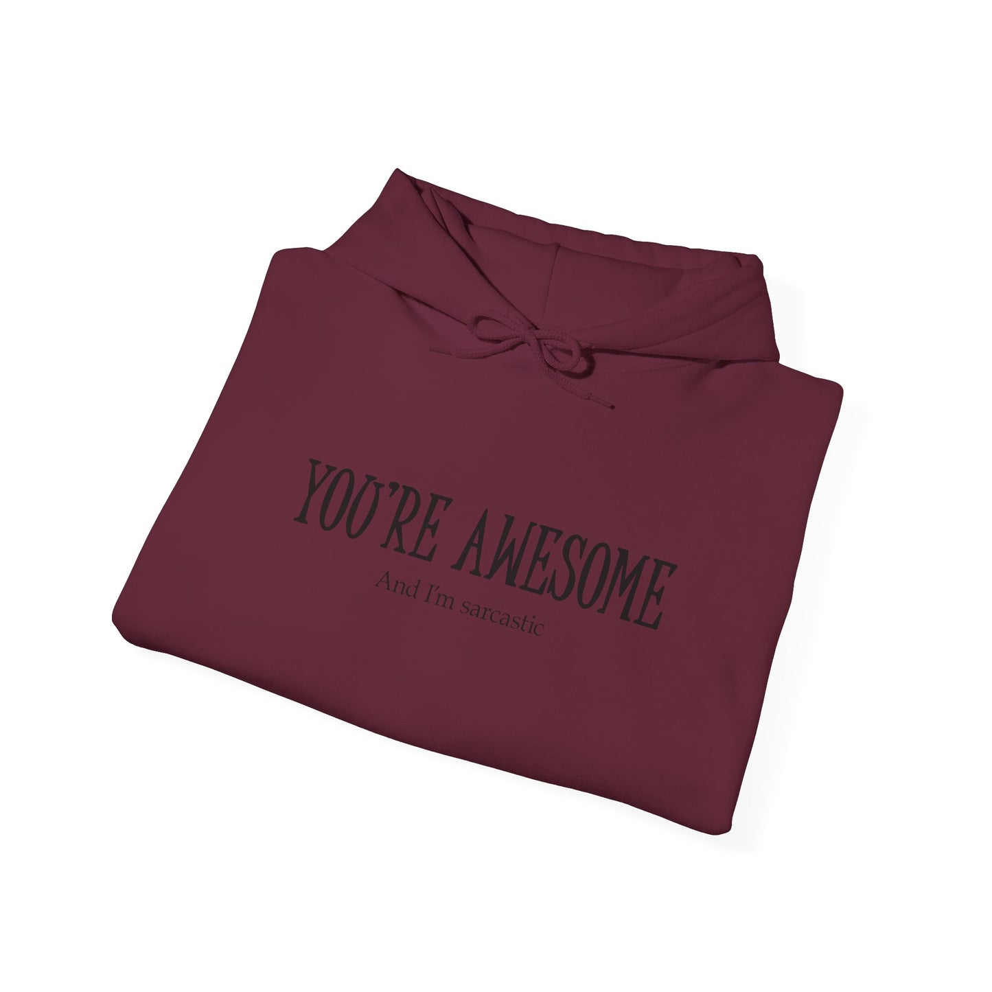 You're Awesome | I'm sarcastic Hoodie