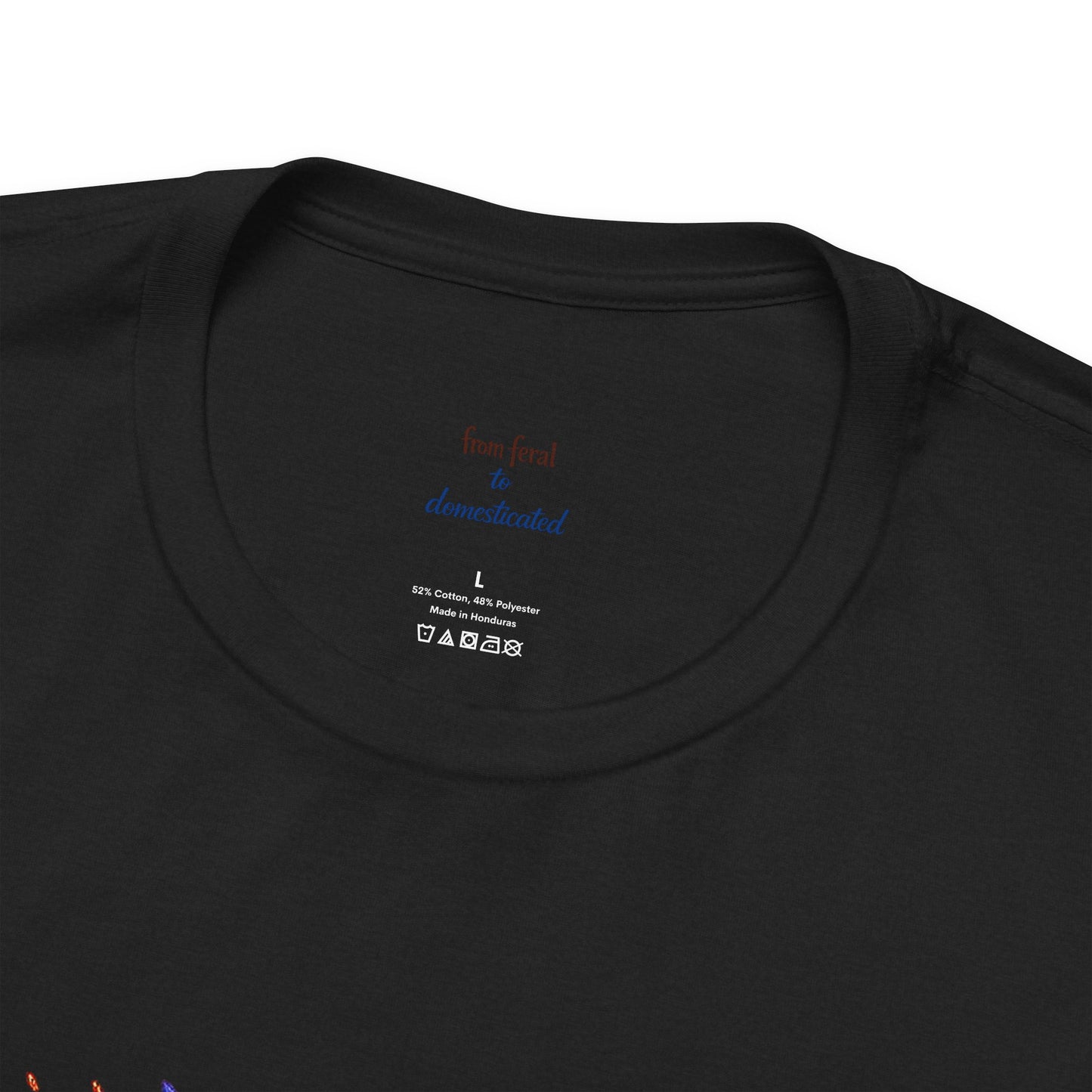 Patriot Raccoon 250th Anniversary T-Shirt — 4th of July Fireworks Flag Tee