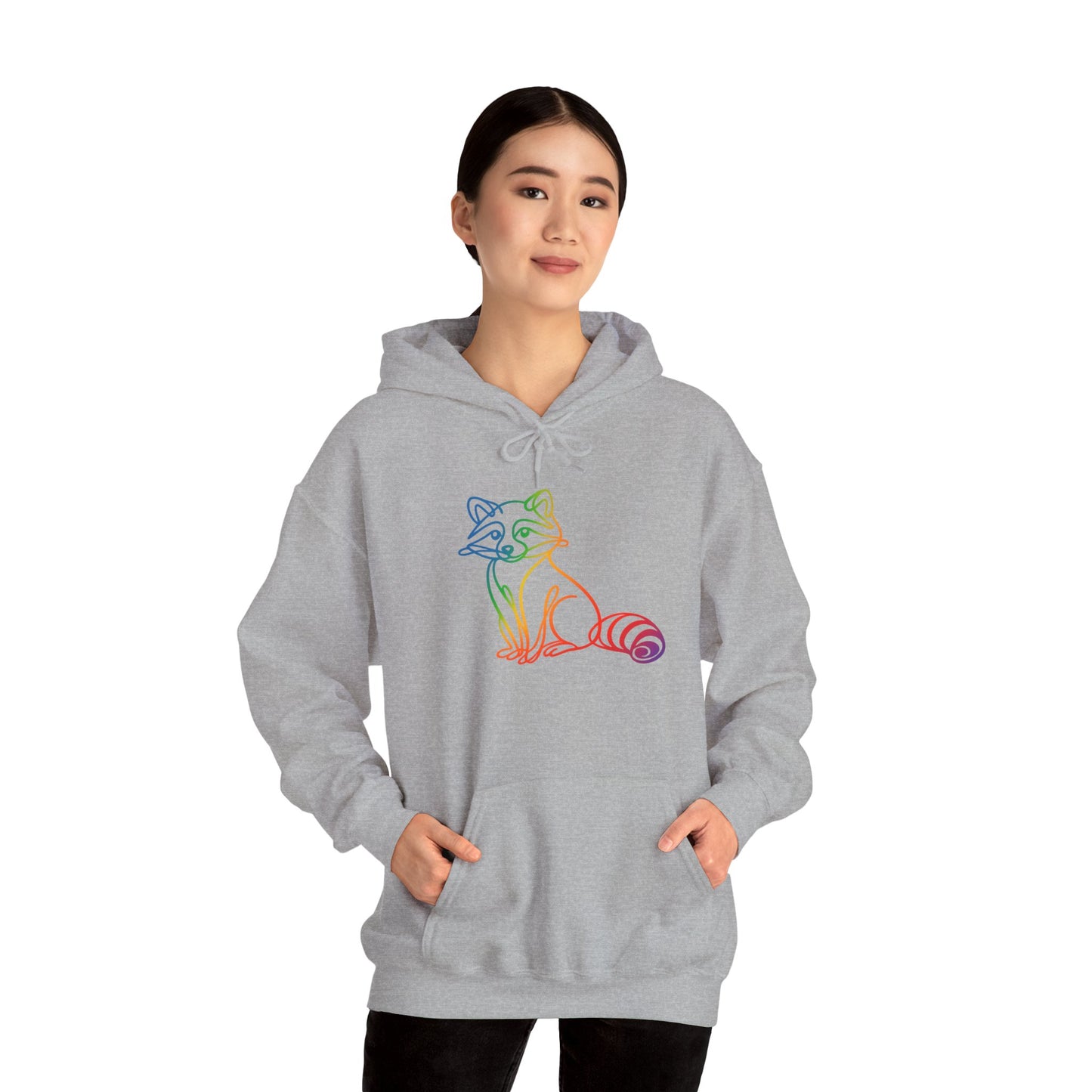 Rainbow Line Art Raccoon Hoodie