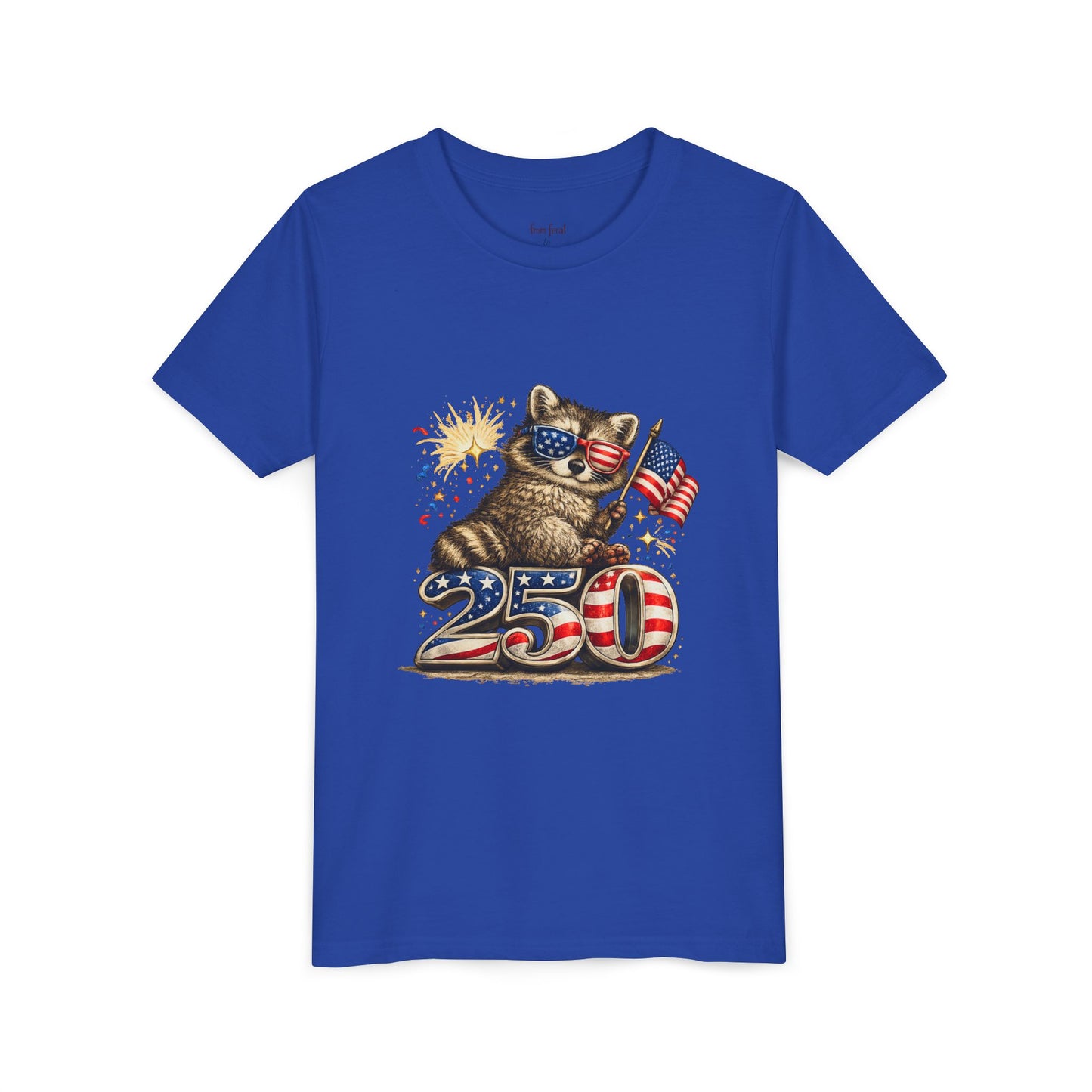 Patriotic Raccoon Youth Tee — Raccoon with American Flag & Fireworks