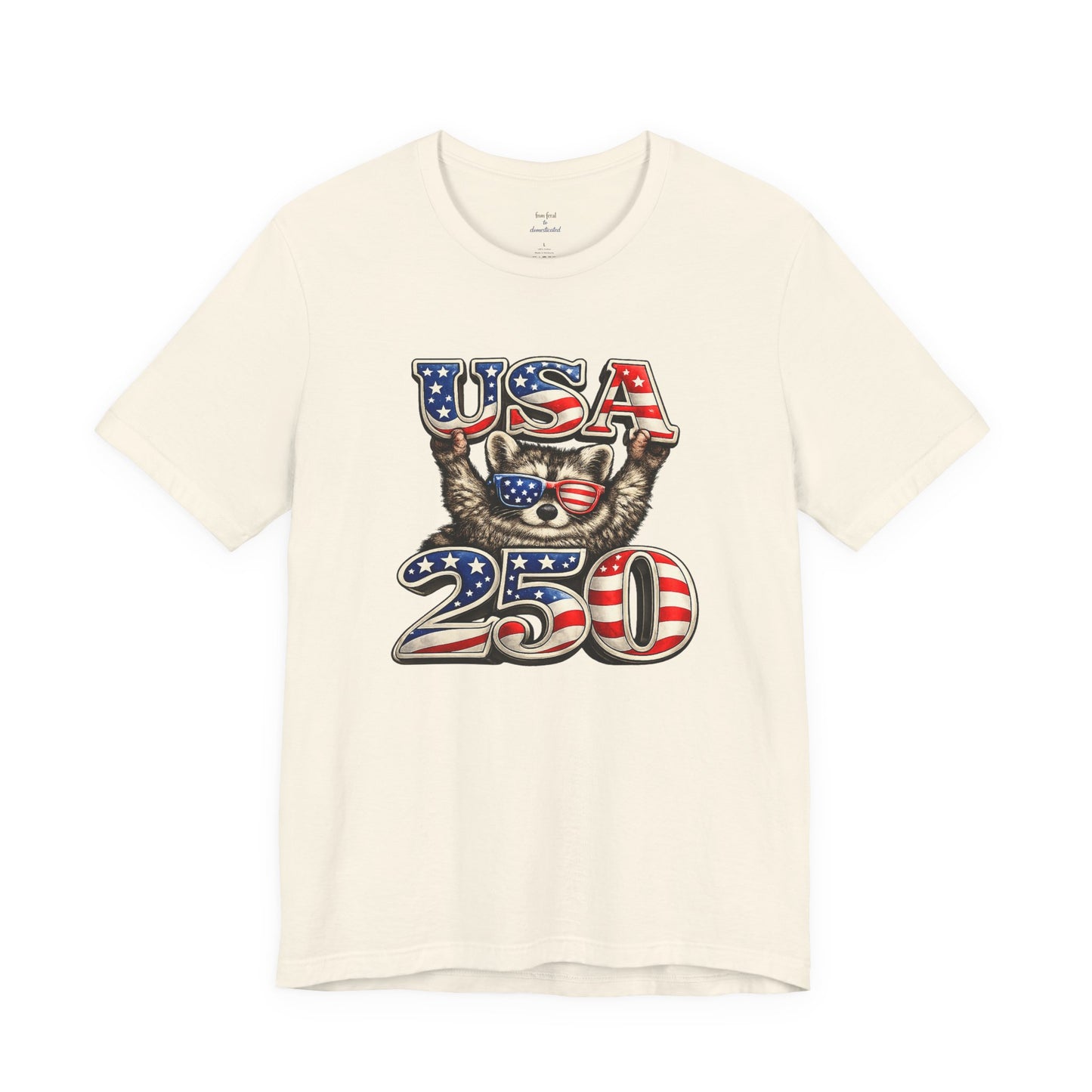 Patriot Raccoon 250th Anniversary T-Shirt — 4th of July Fireworks Flag Tee