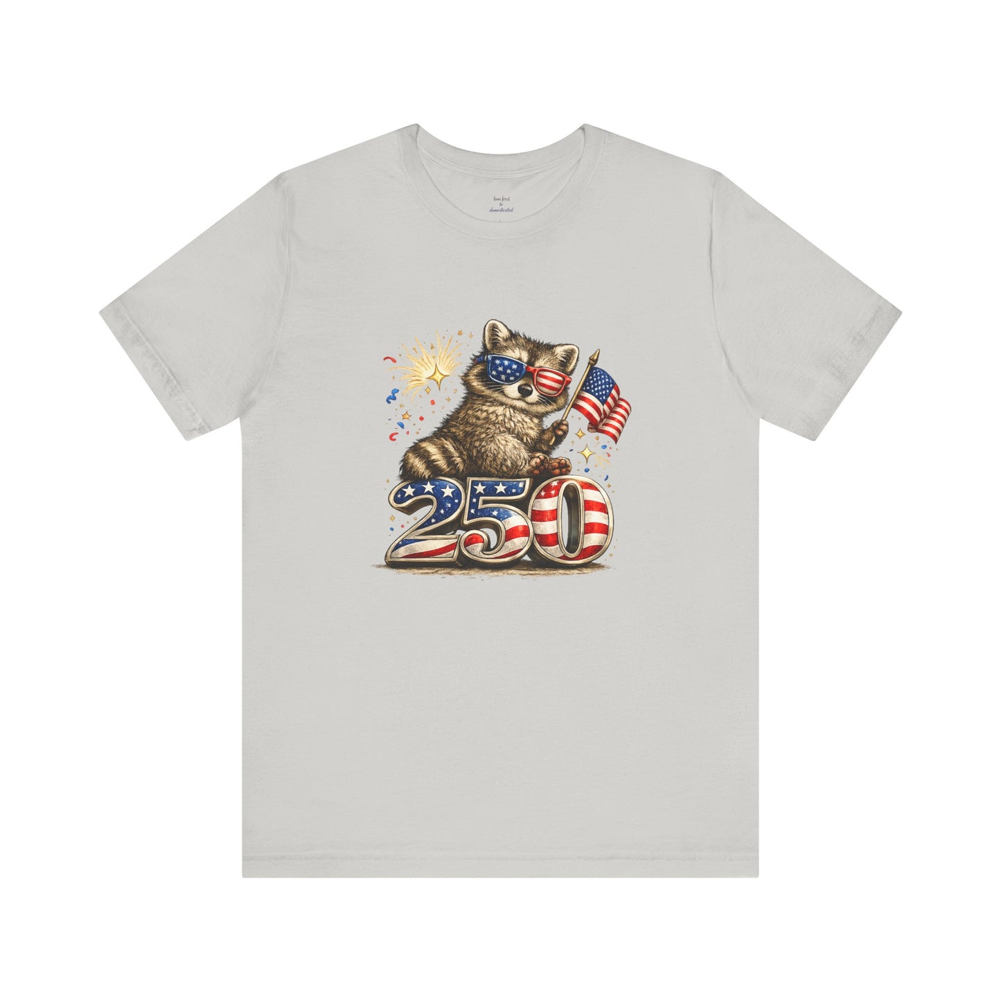 Patriot Raccoon 250th Anniversary T-Shirt — 4th of July Fireworks Flag Tee