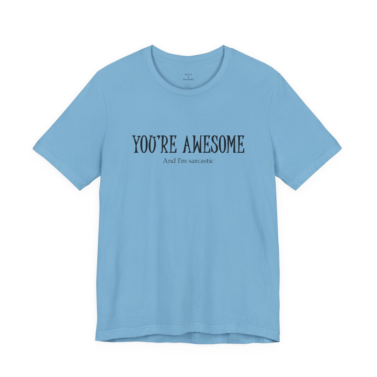 You're Awesome (And I'm Sarcastic) T-Shirt
