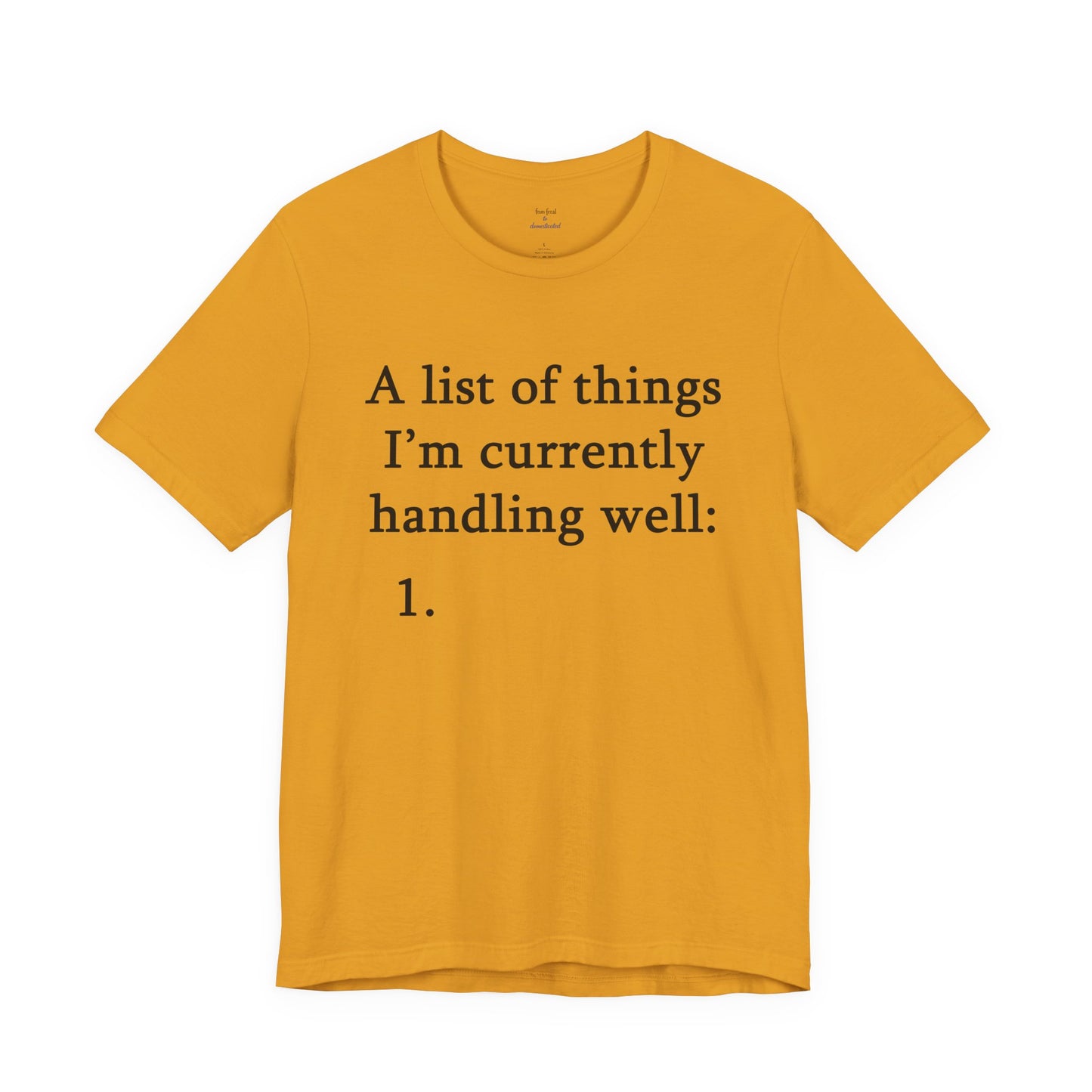 Funny 'A List of Things I'm Currently Handling Well' T-Shirt