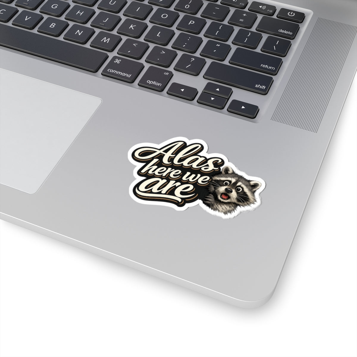 Alas Here We Are Raccoon Stickers