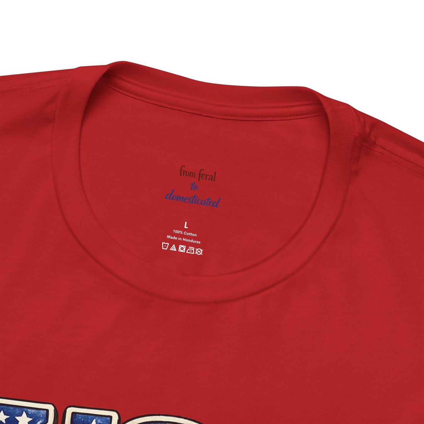 Patriot Raccoon 250th Anniversary T-Shirt — 4th of July Fireworks Flag Tee