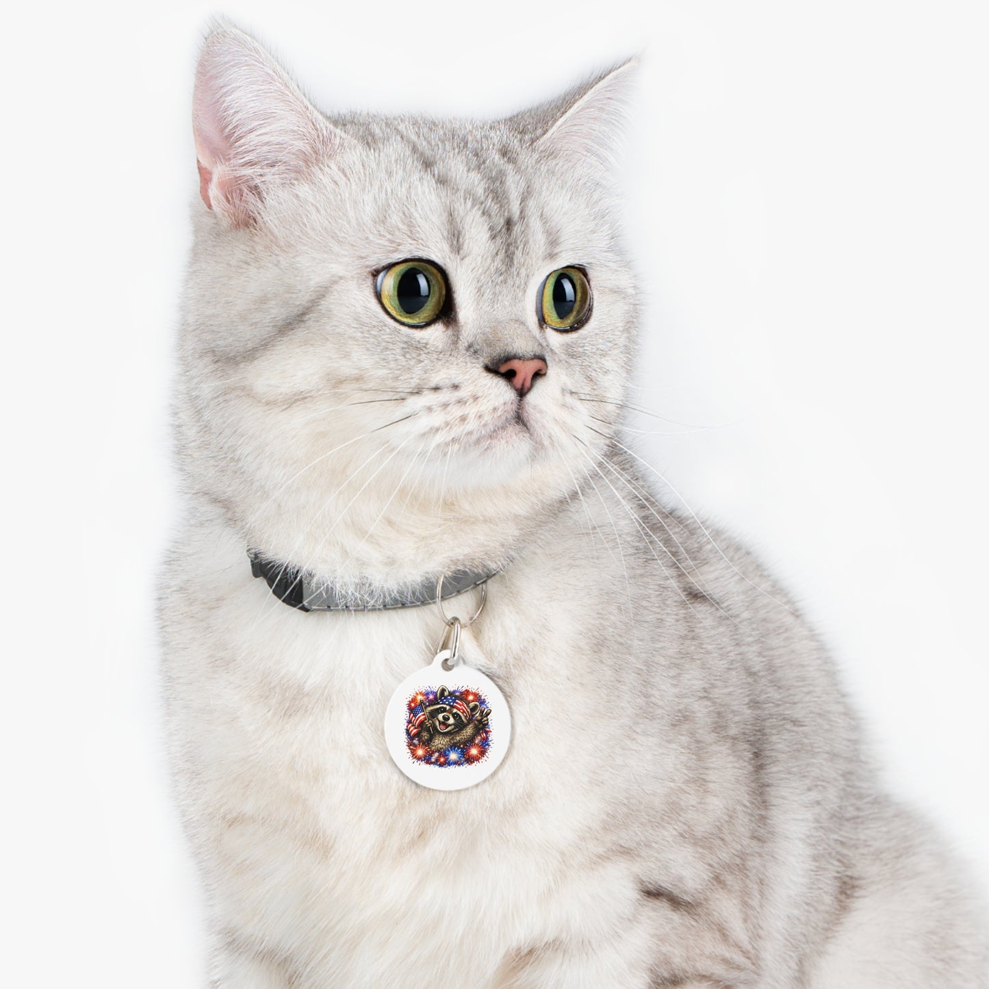 Patriotic Raccoon 4th of July Pet Tag — USA 250 Celebration
