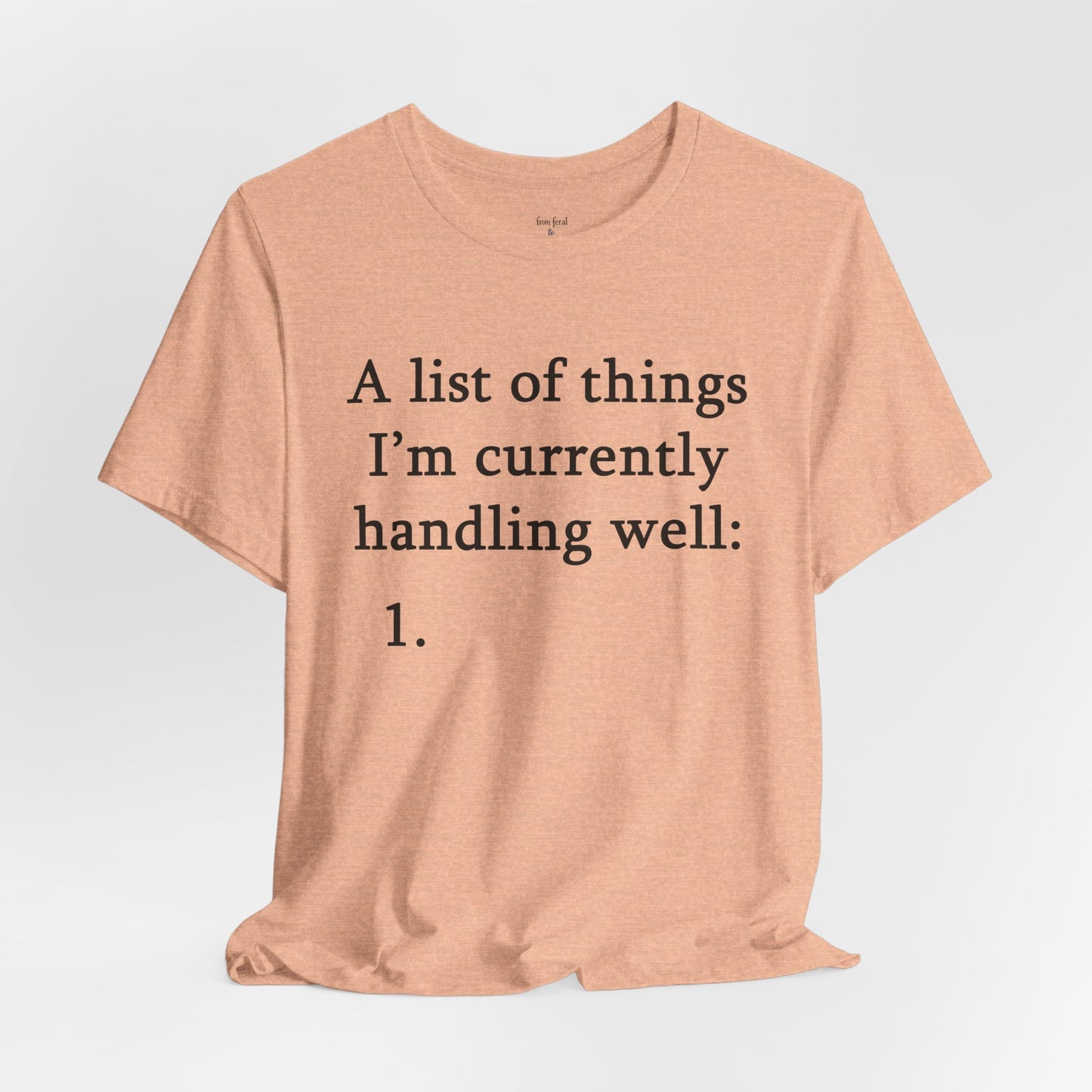 Funny 'A List of Things I'm Currently Handling Well' T-Shirt