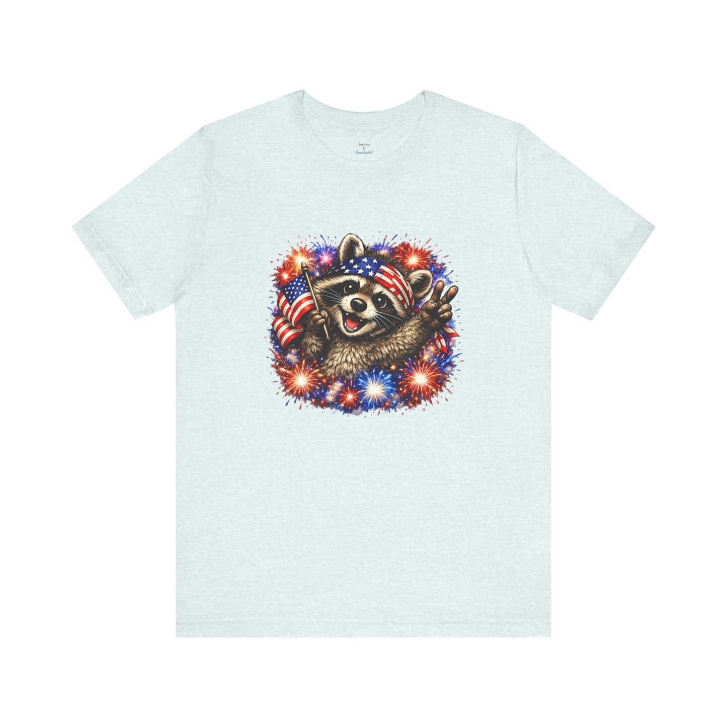 Patriot Raccoon 250th Anniversary T-Shirt — 4th of July Fireworks Flag Tee