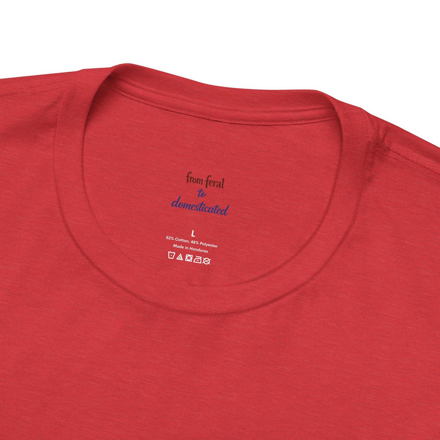 Patriot Raccoon 250th Anniversary T-Shirt — 4th of July Fireworks Flag Tee