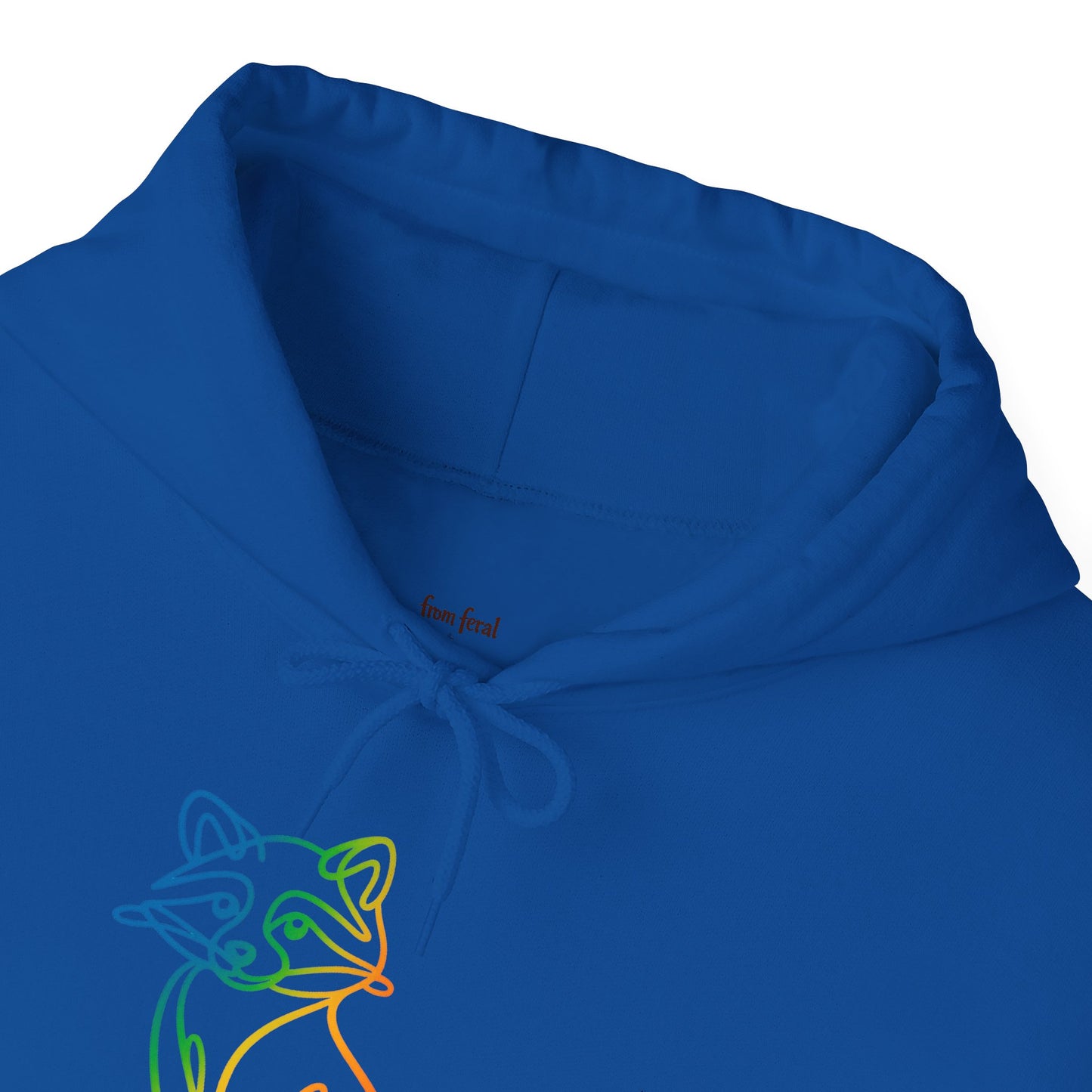 Rainbow Line Art Raccoon Hoodie