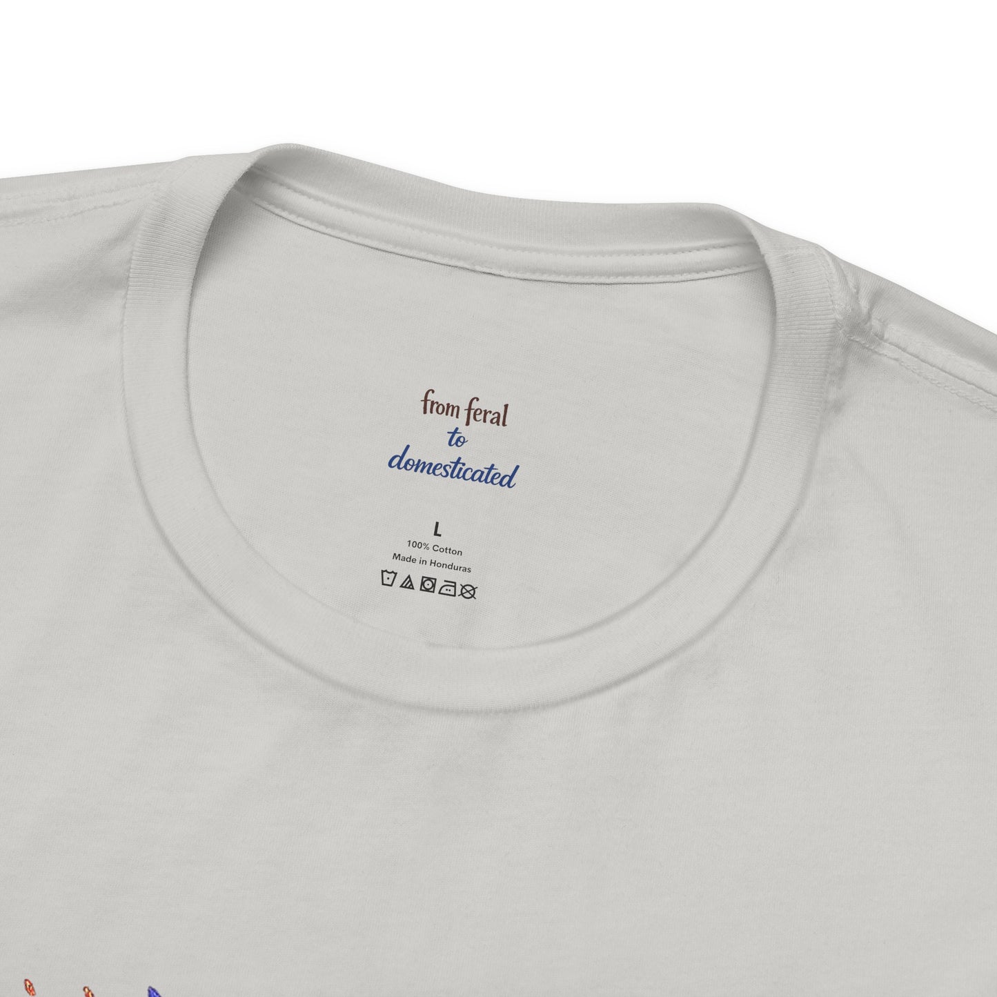 Patriot Raccoon 250th Anniversary T-Shirt — 4th of July Fireworks Flag Tee