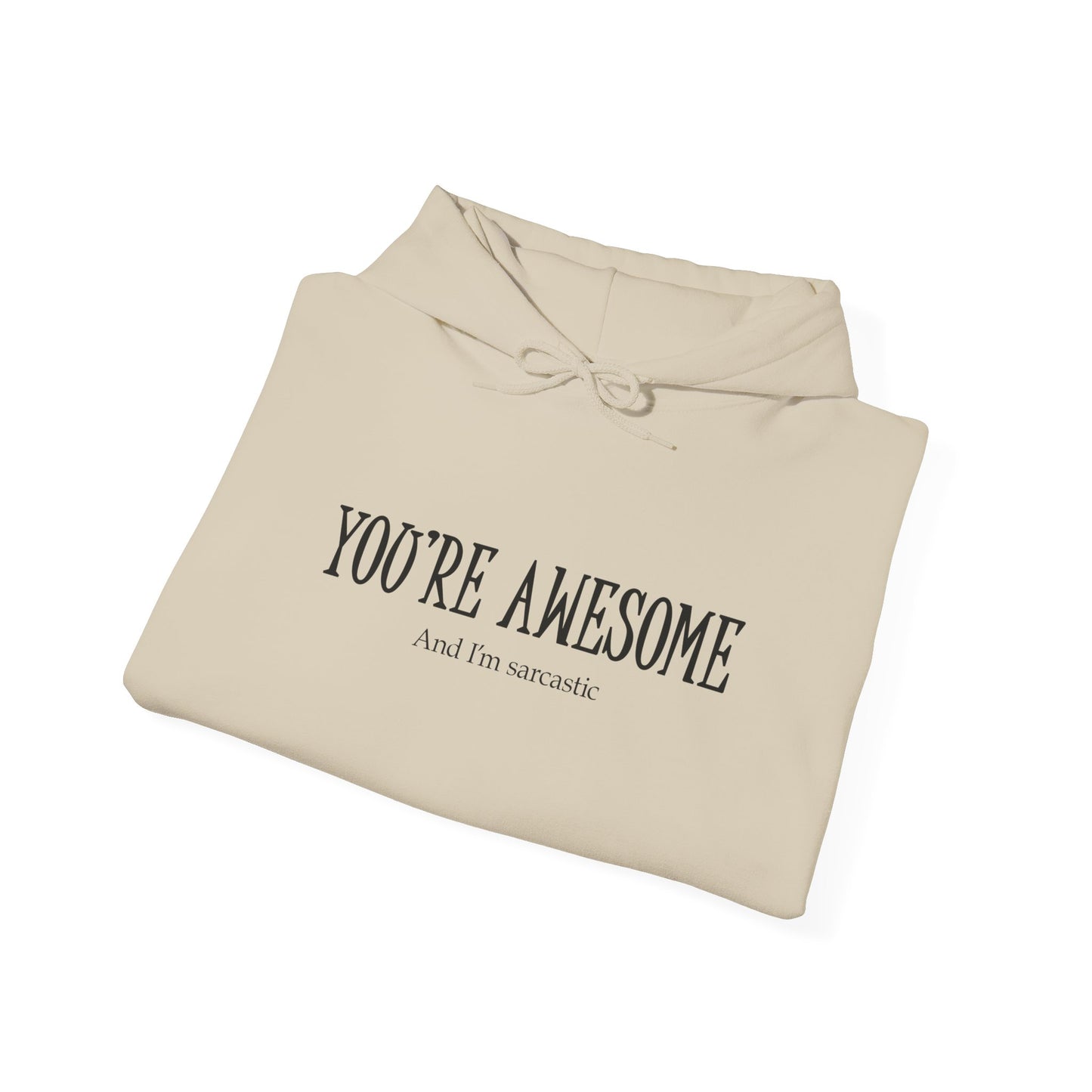 You're Awesome | I'm sarcastic Hoodie