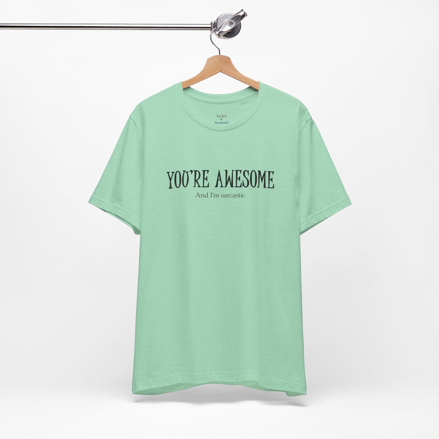 You're Awesome (And I'm Sarcastic) T-Shirt